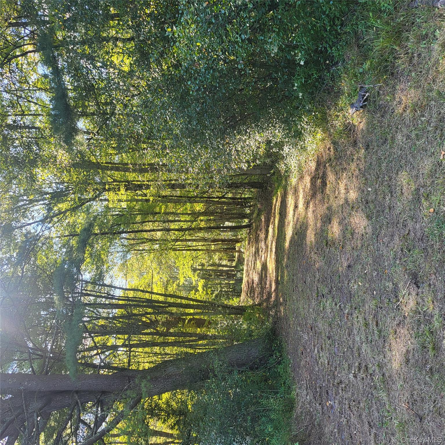 TBD Stephenson Road, Swan Lake, NY 12720