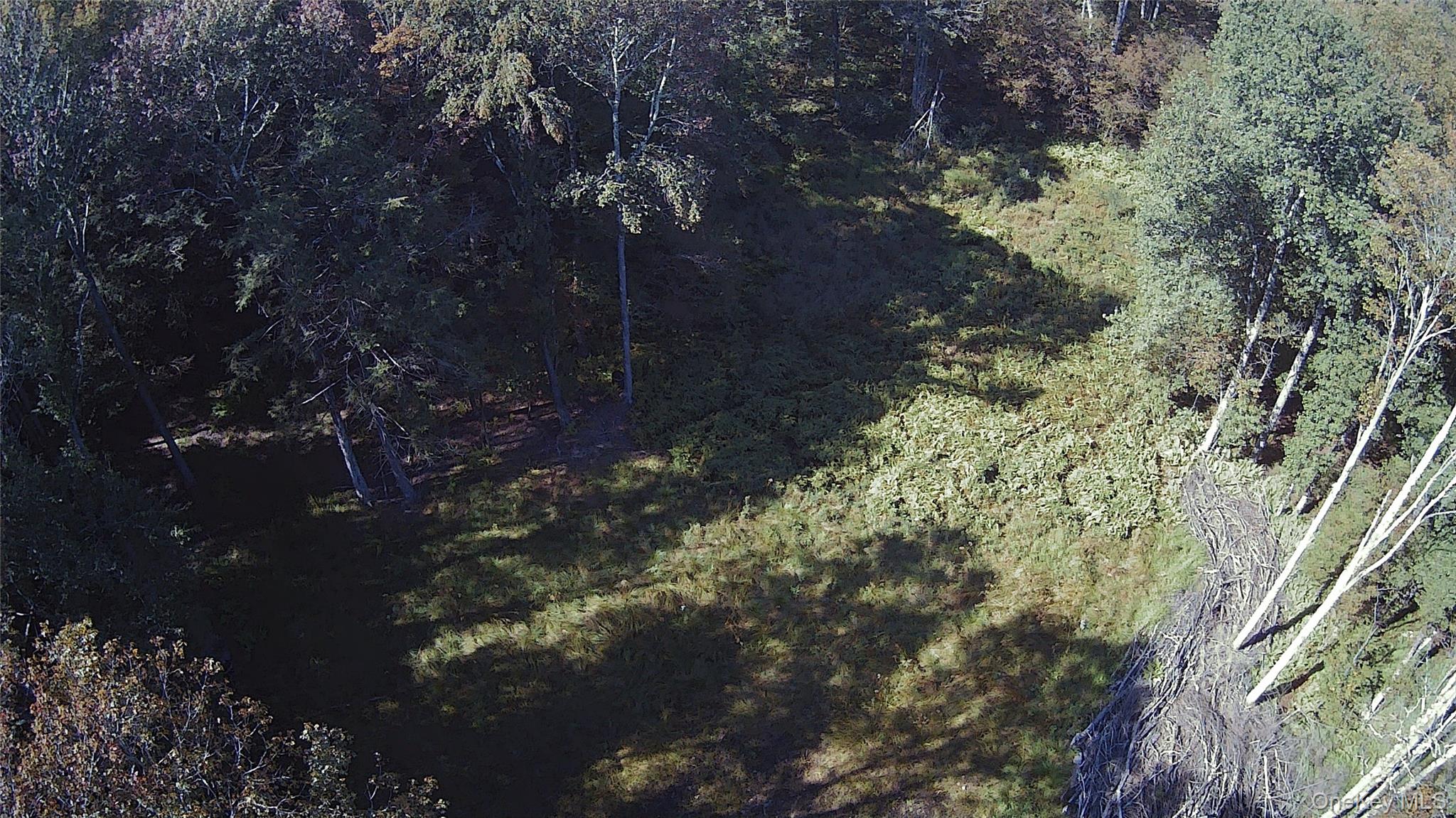 TBD Stephenson Road, Swan Lake, NY 12720