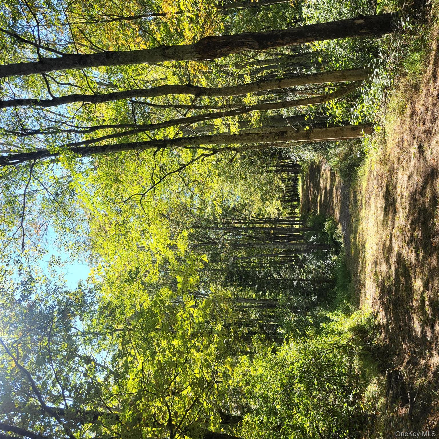 TBD Stephenson Road, Swan Lake, NY 12720