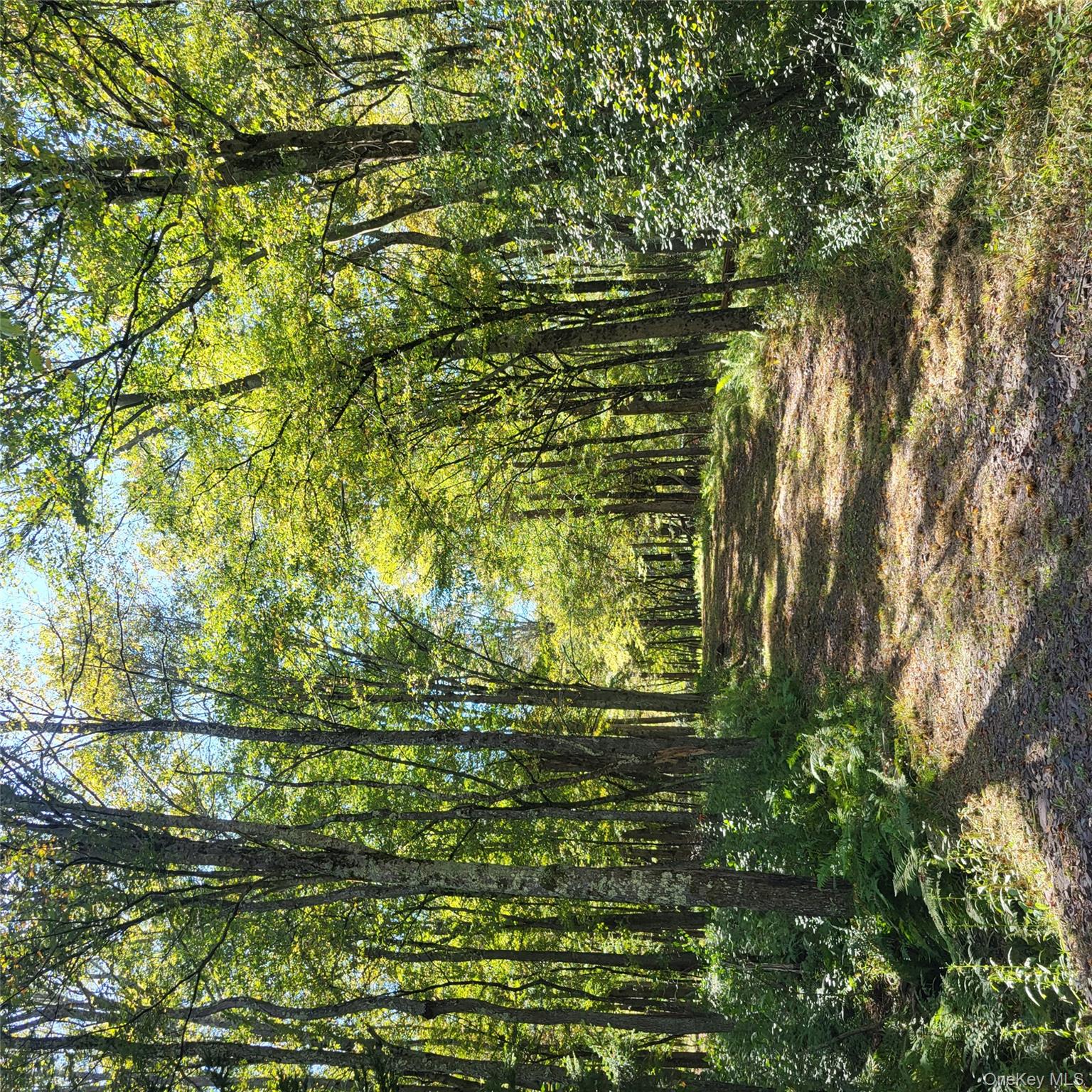 TBD Stephenson Road, Swan Lake, NY 12720