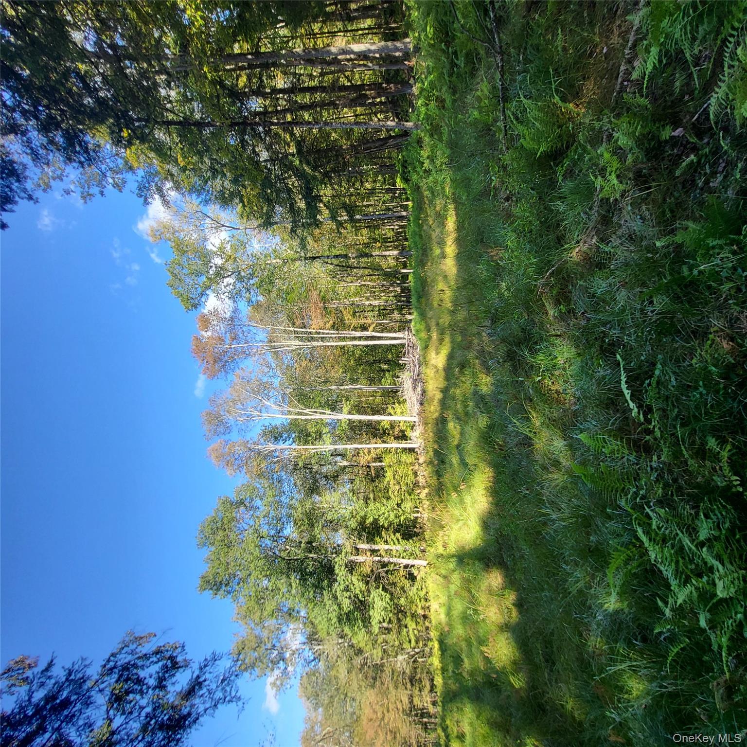 TBD Stephenson Road, Swan Lake, NY 12720