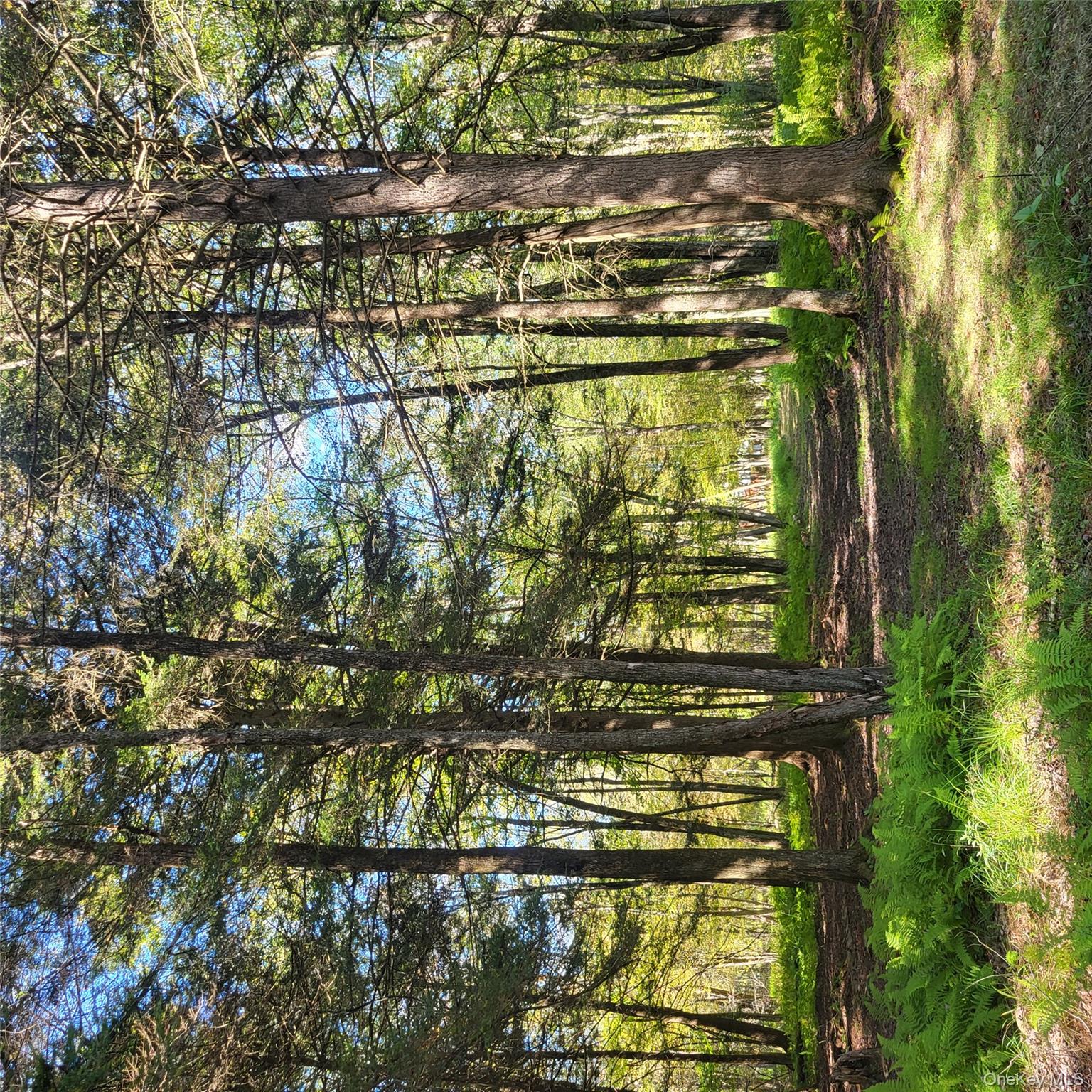 TBD Stephenson Road, Swan Lake, NY 12720