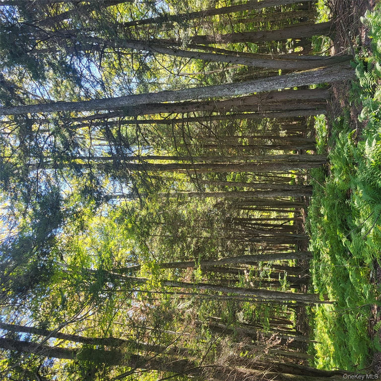 TBD Stephenson Road, Swan Lake, NY 12720