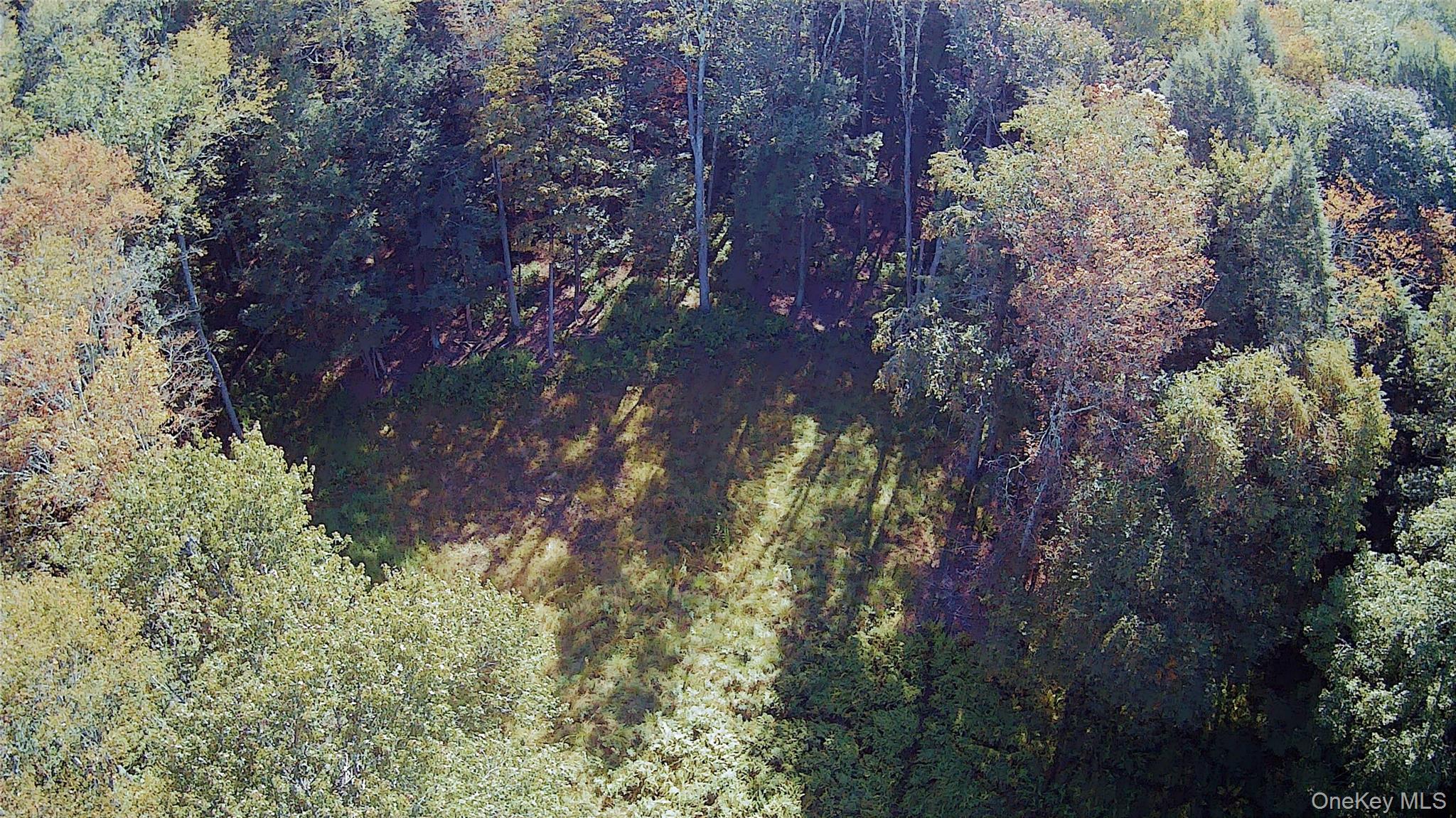 TBD Stephenson Road, Swan Lake, NY 12720