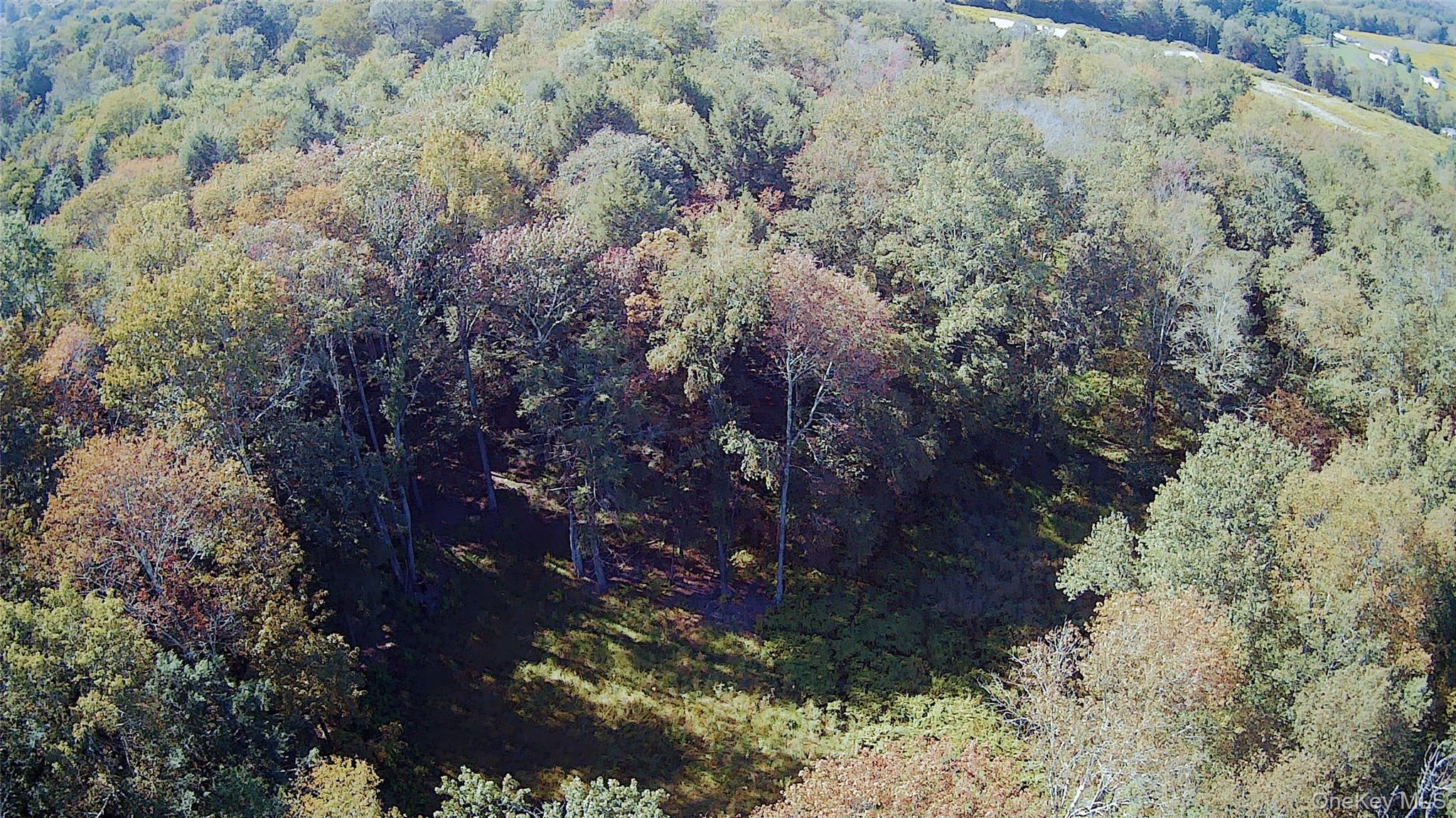 TBD Stephenson Road, Swan Lake, NY 12720