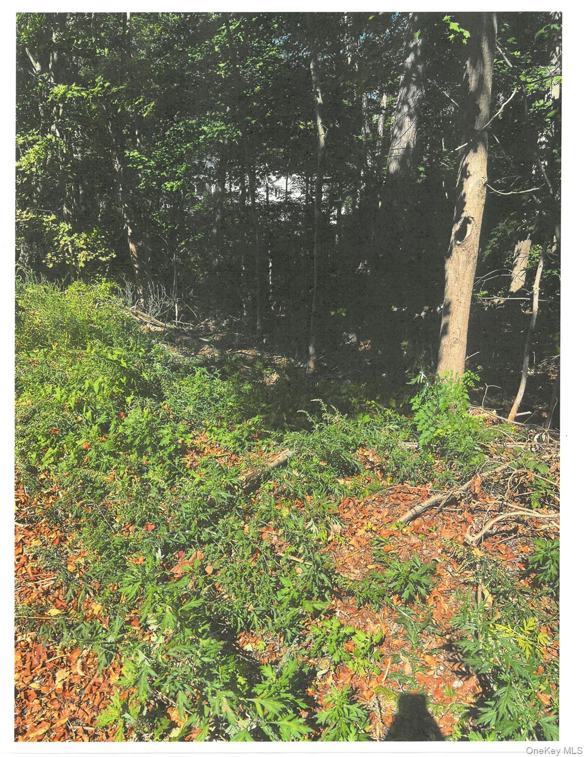 Lots 49, 50 & 68 Somerset Lane, Cortlandt Manor, NY 10567