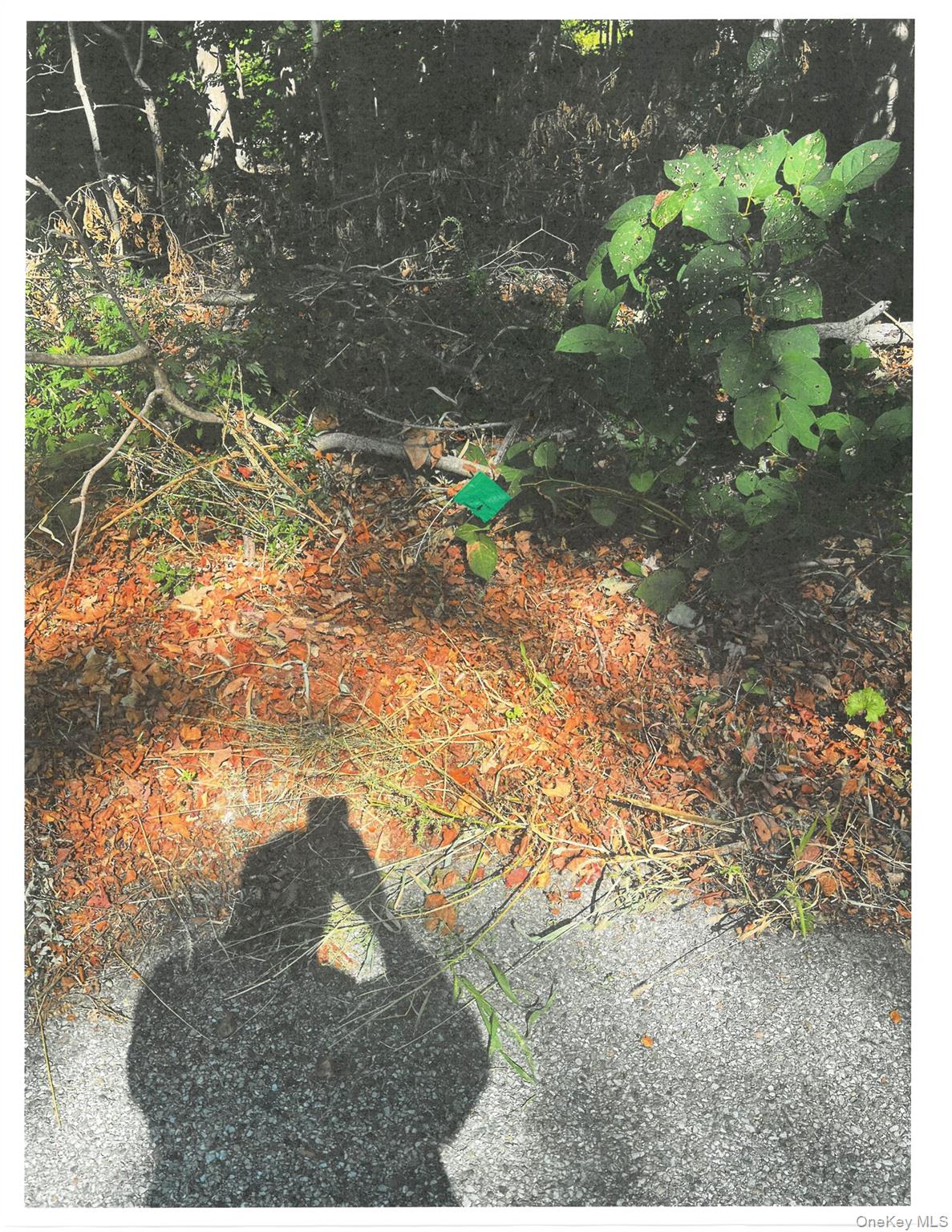 Lots 49, 50 & 68 Somerset Lane, Cortlandt Manor, NY 10567