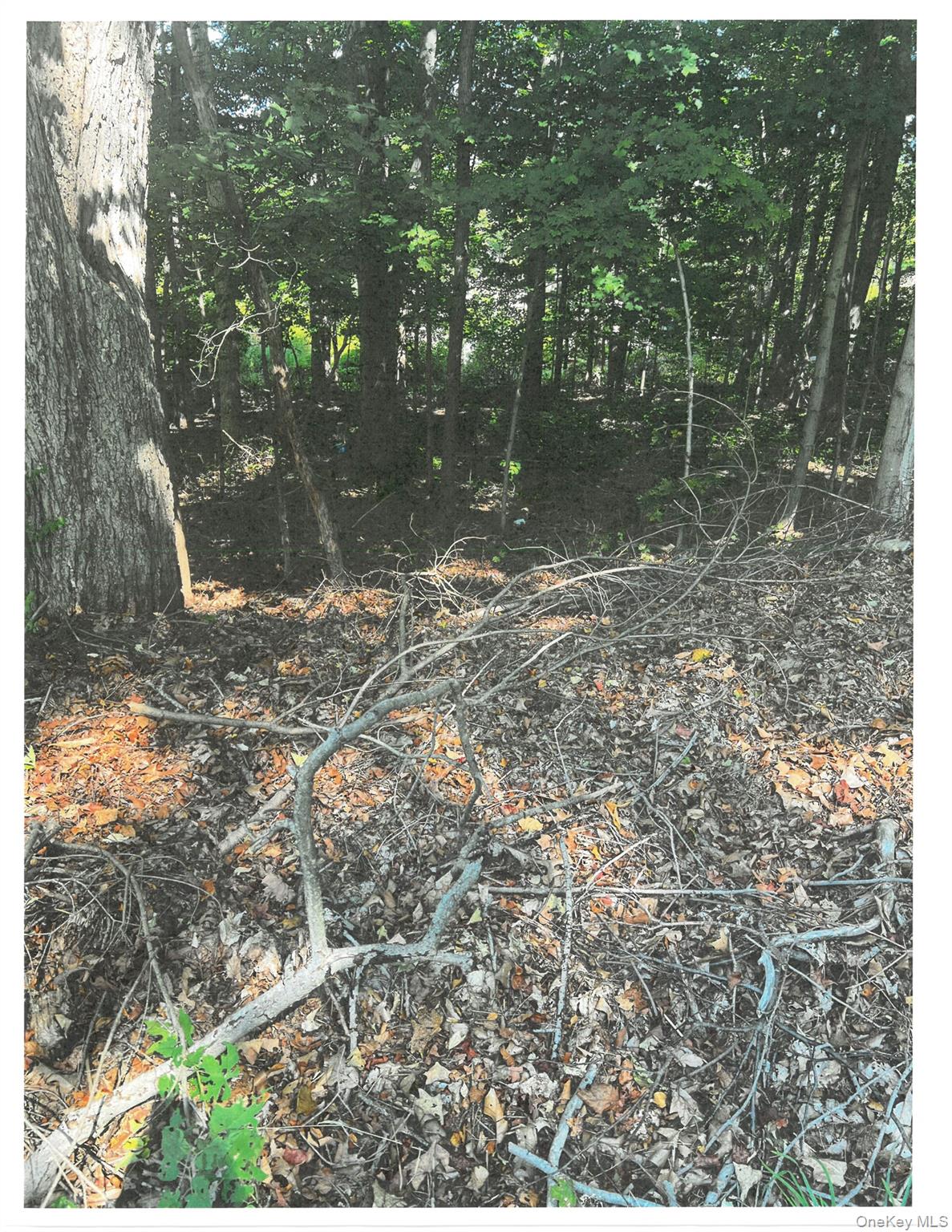 Lots 49, 50 & 68 Somerset Lane, Cortlandt Manor, NY 10567