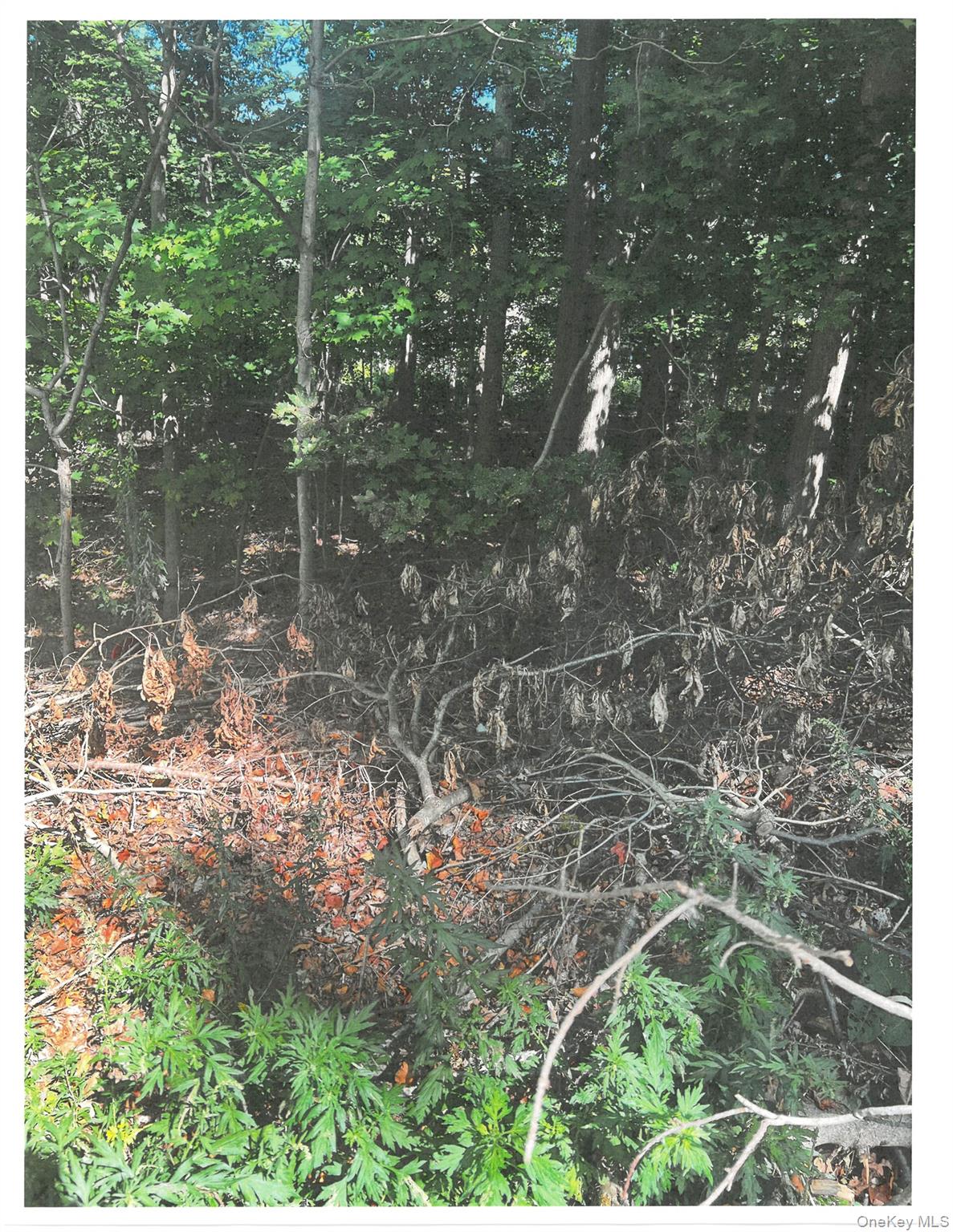 Lots 49, 50 & 68 Somerset Lane, Cortlandt Manor, NY 10567