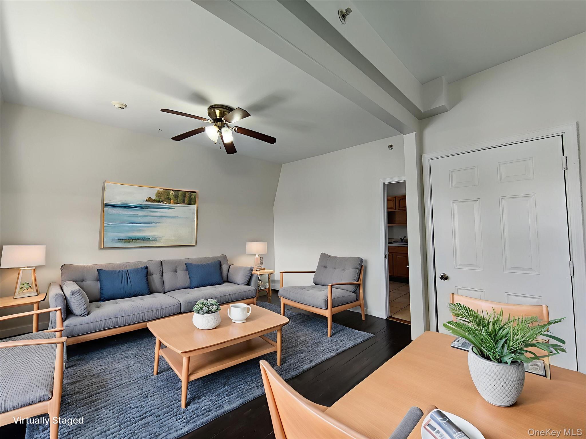 219 MILL Street # 4, Poughkeepsie, NY 12601