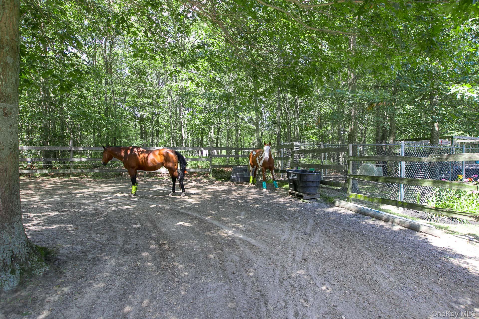 168 Brookfield Avenue, Center Moriches, NY 11934