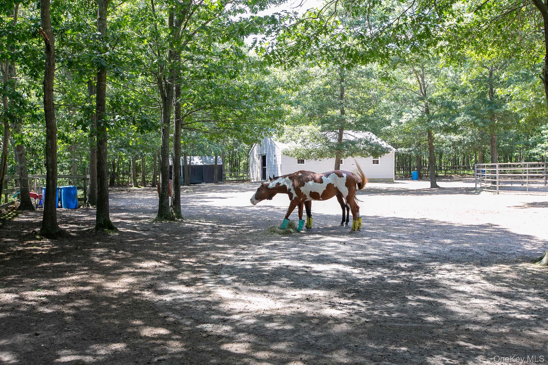 168 Brookfield Avenue, Center Moriches, NY 11934