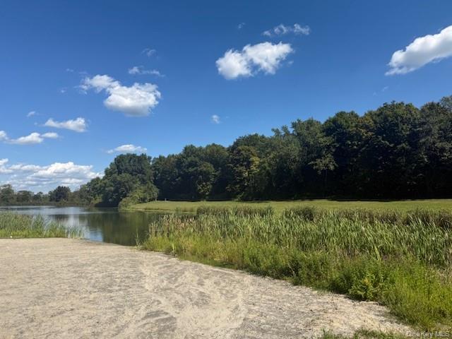 41 Sherman Avenue, Walden, NY 12586