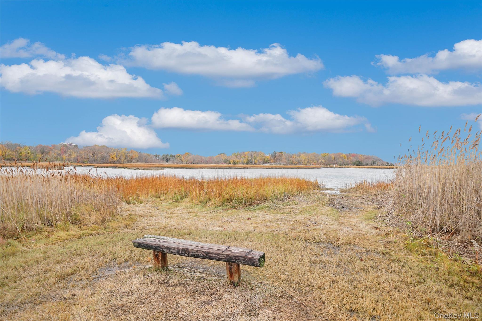 20 Tulip Road, Kings Park, NY 11754