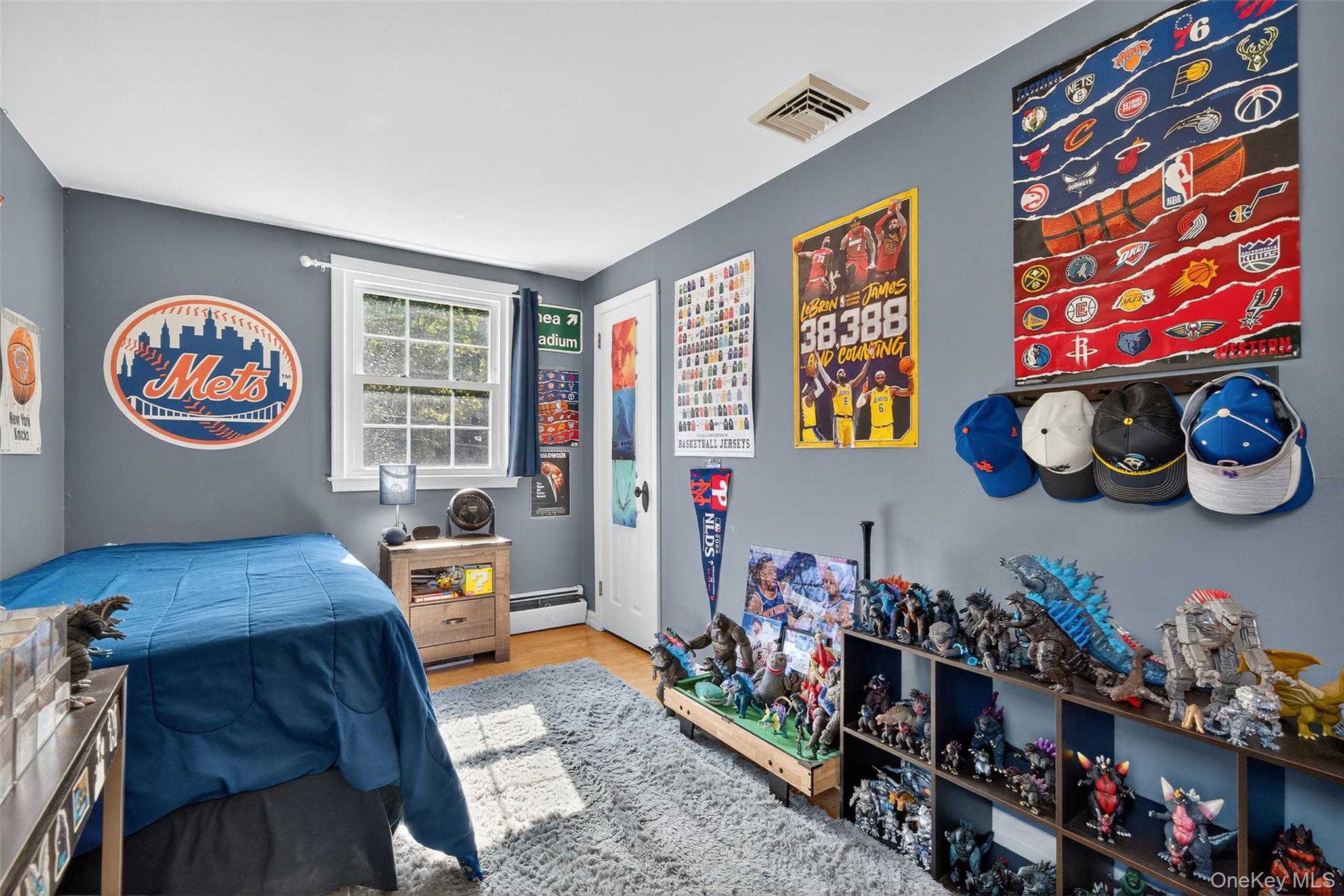 3 McBride Place, Goshen, NY 10924