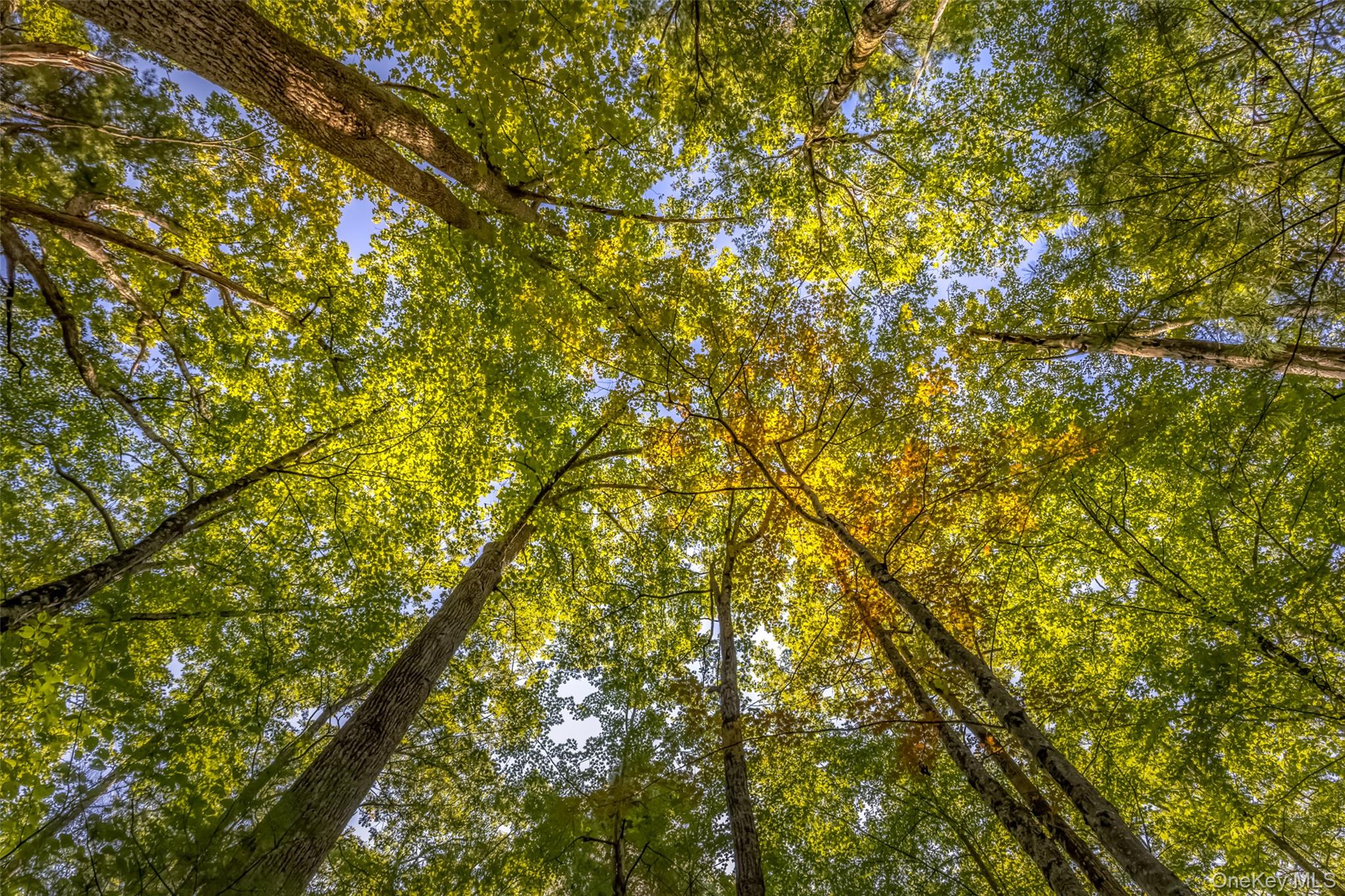 187 Rocky Mountain Road, Kerhonkson, NY