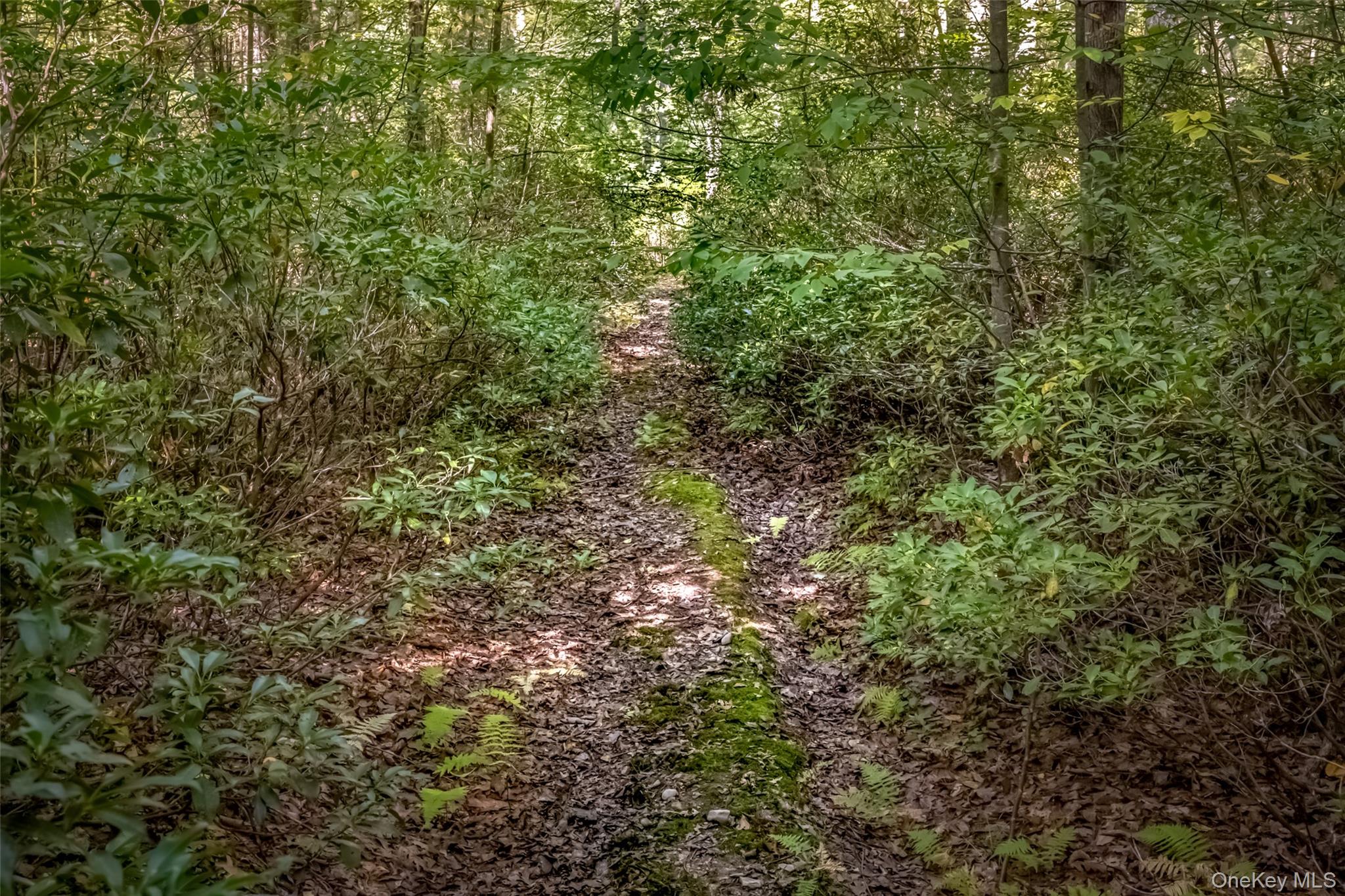 187 Rocky Mountain Road, Kerhonkson, NY