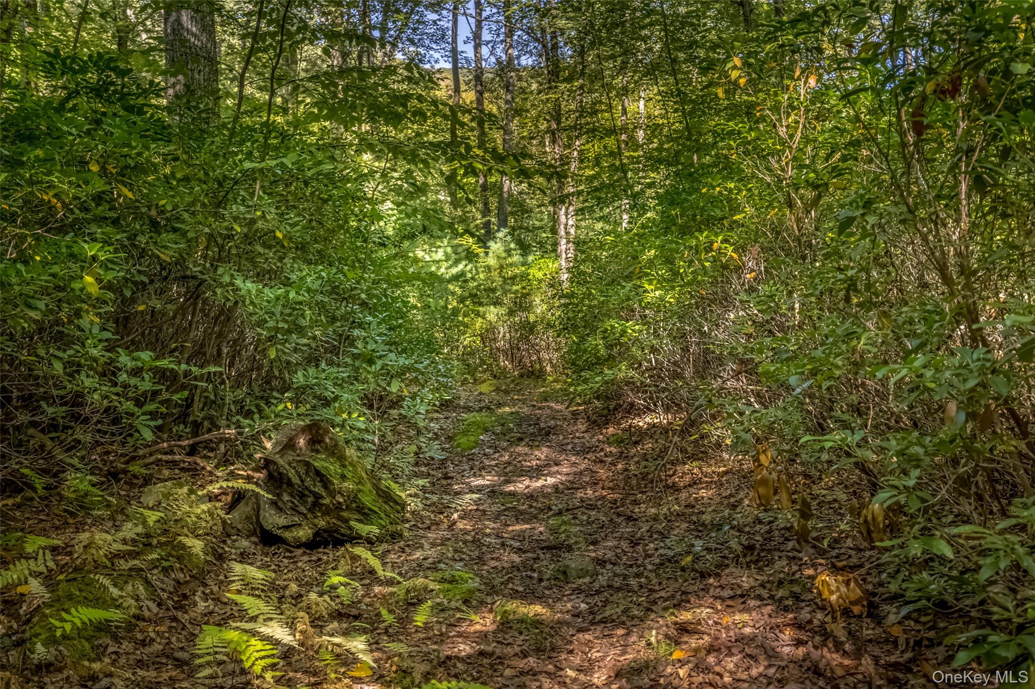 187 Rocky Mountain Road, Kerhonkson, NY