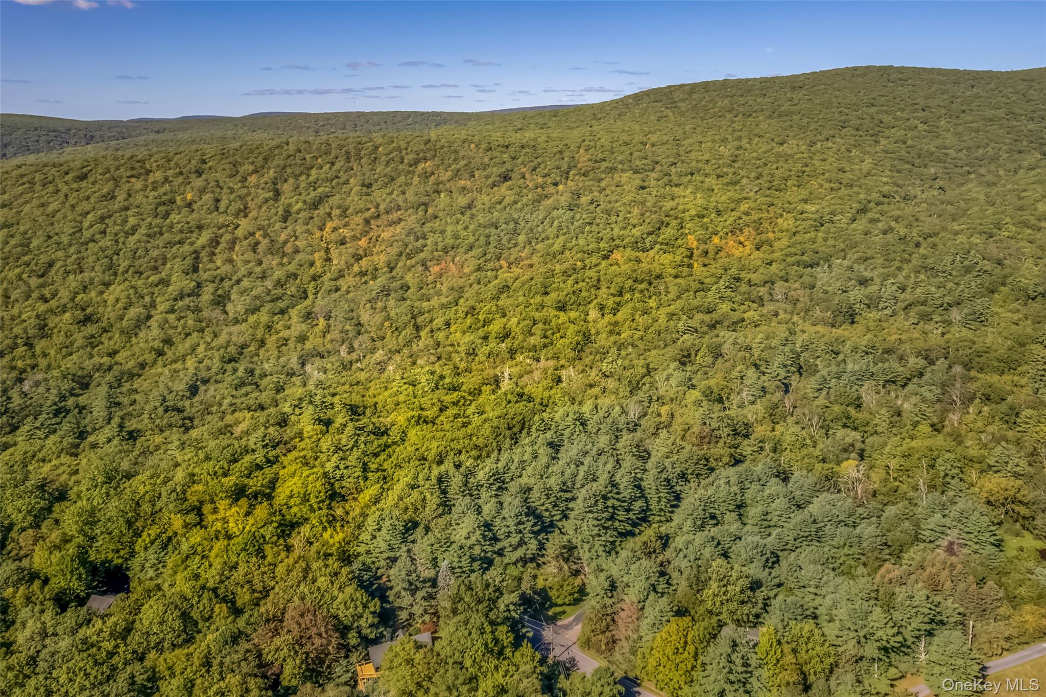 187 Rocky Mountain Road, Kerhonkson, NY