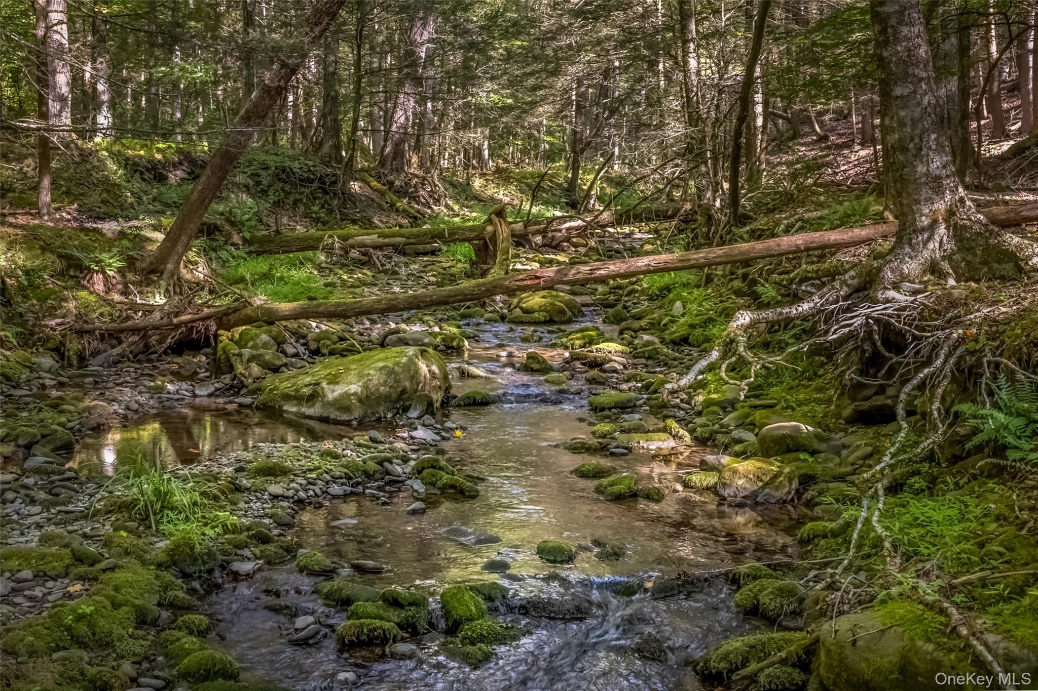 187 Rocky Mountain Road, Kerhonkson, NY