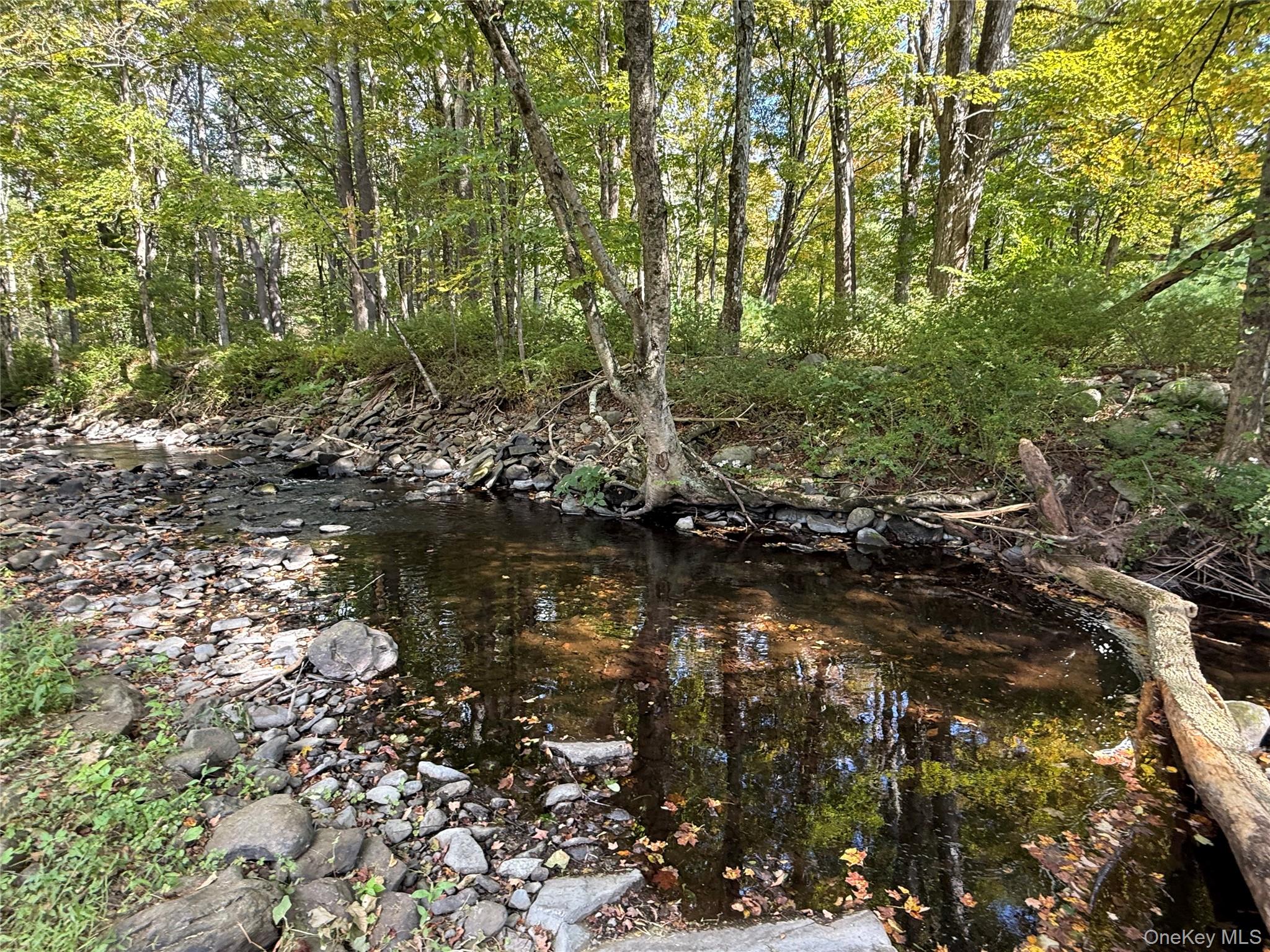 910 State Route 42, Sparrowbush, NY 12780