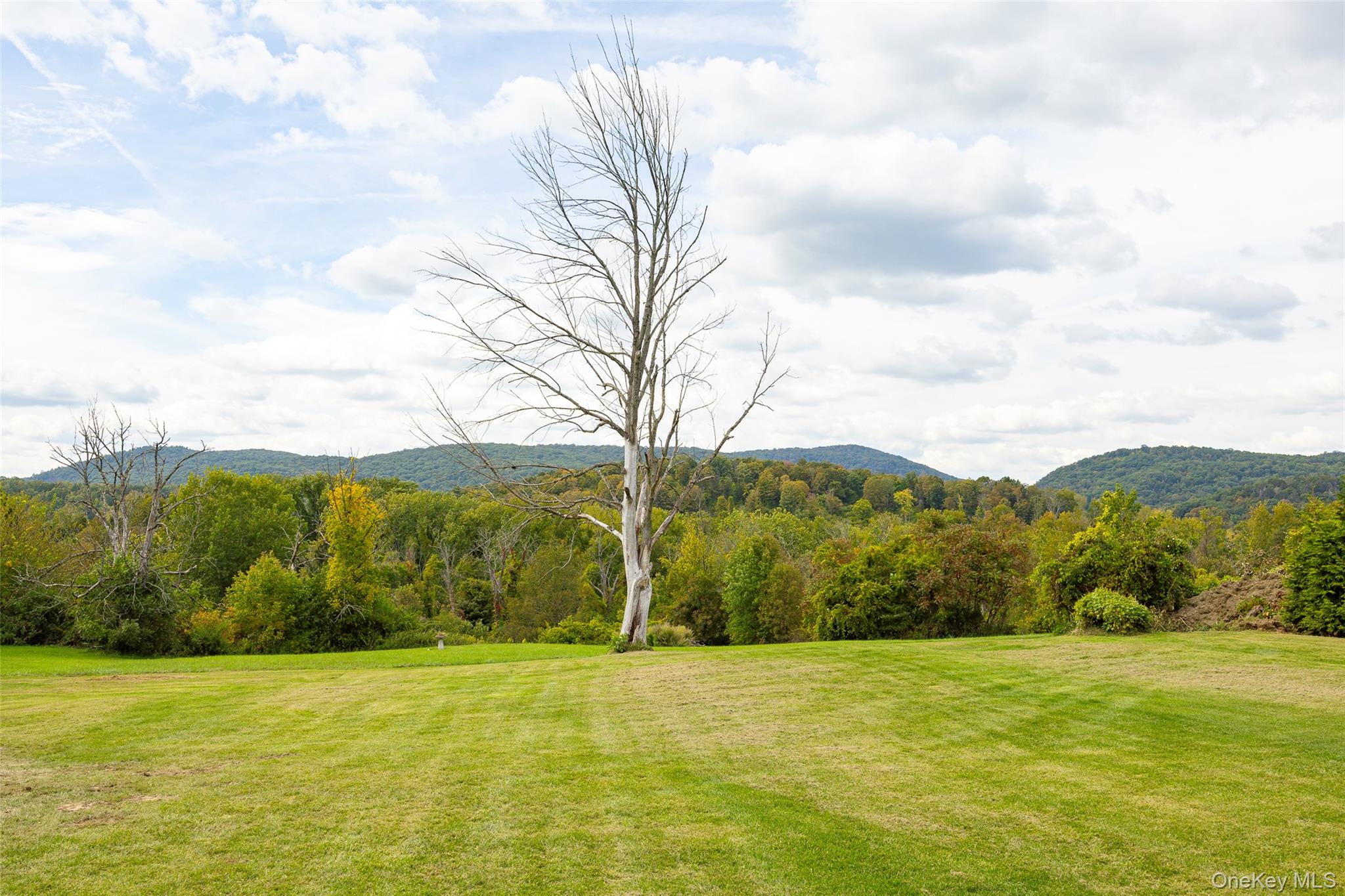 23 Bog Hollow Road, Wassaic, NY 12592