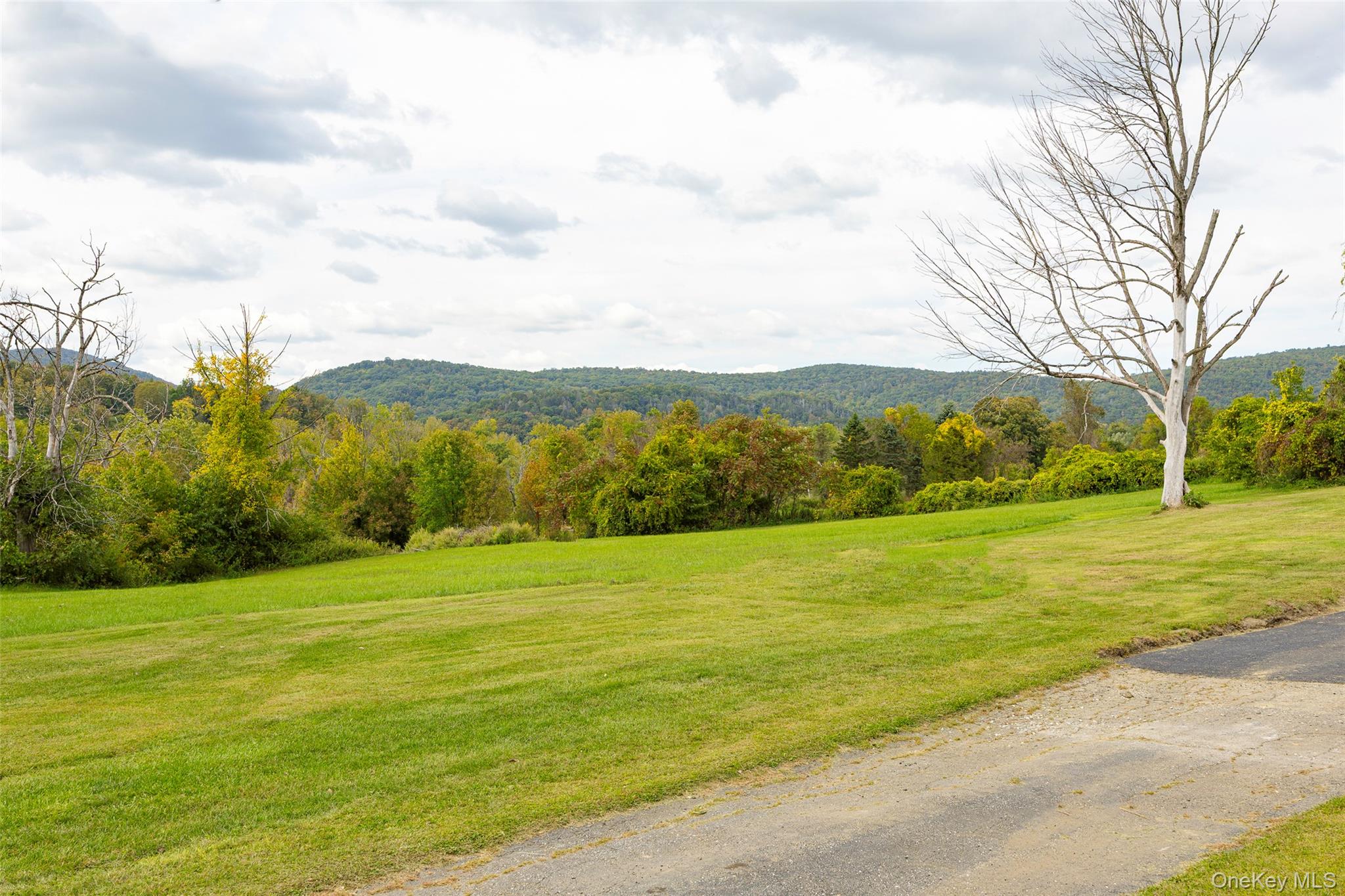 23 Bog Hollow Road, Wassaic, NY 12592