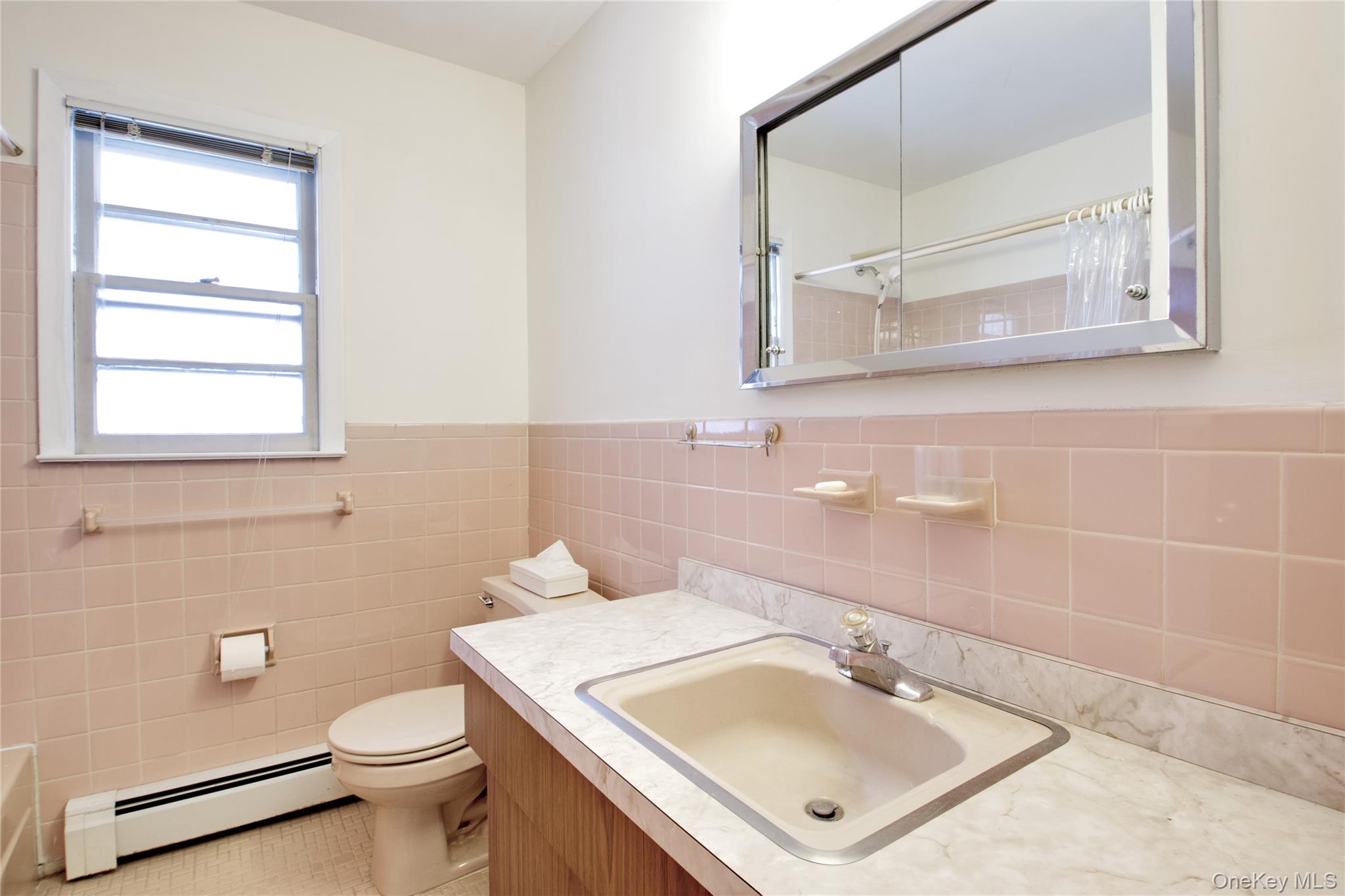 217 Wellington Road S, Garden City South, NY 11530