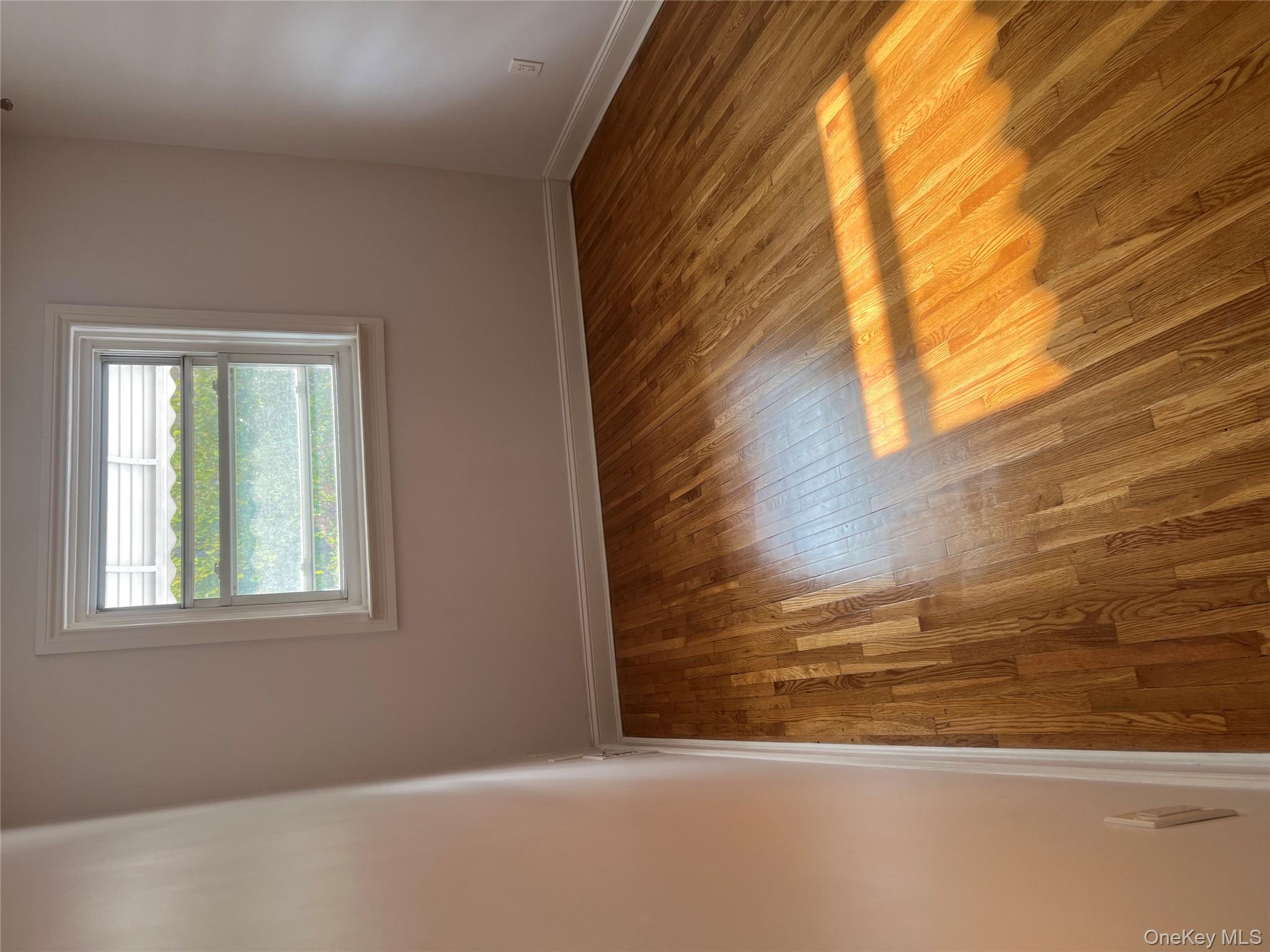 3629 De Reimer Avenue, Bronx, NY 10466