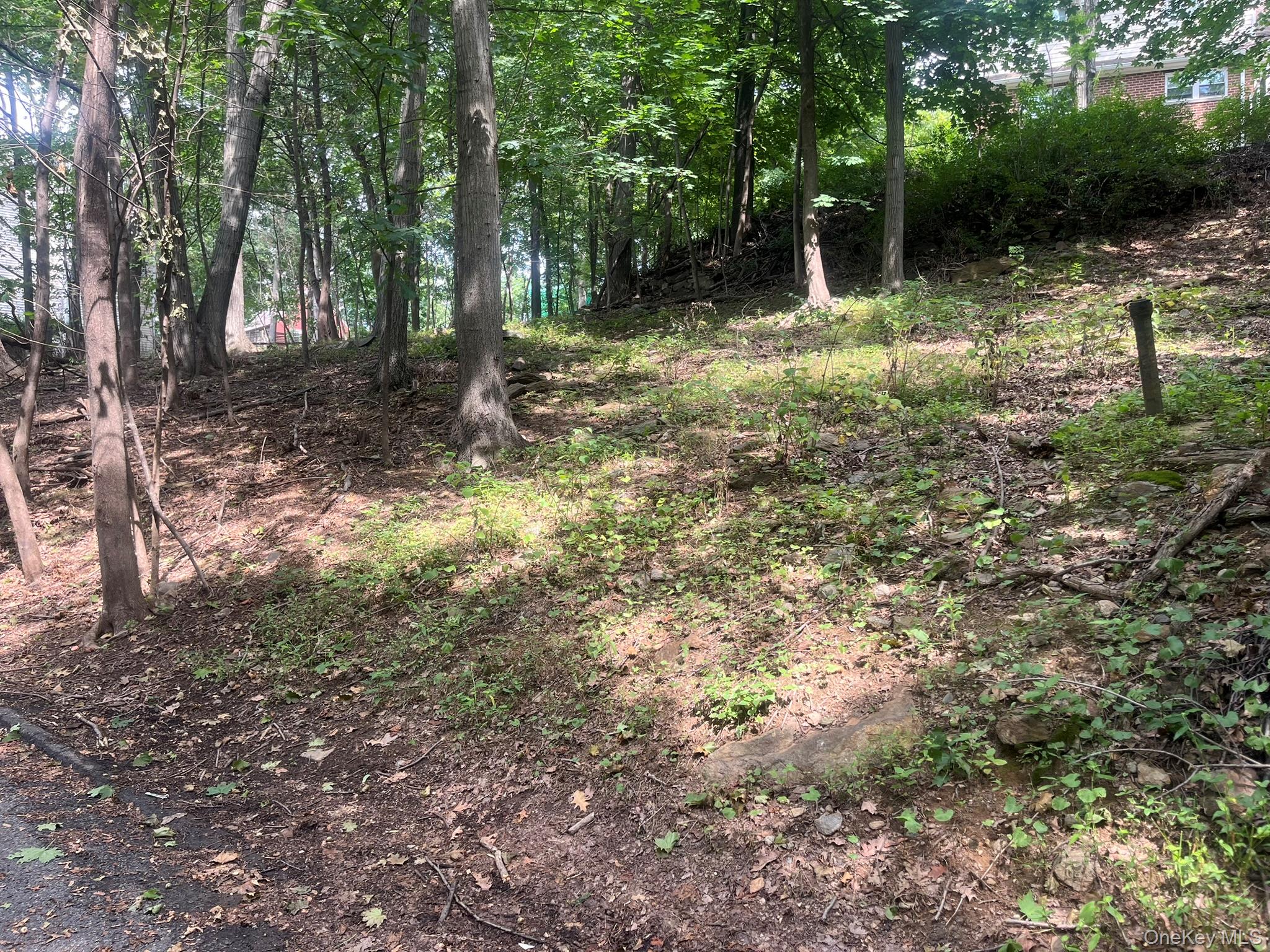 0 Springwood Avenue, Ardsley, NY 10502