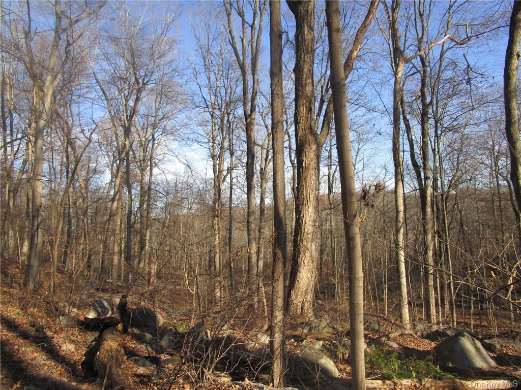 Brookside/Bear Mtn Parkway Avenue, Cortlandt Manor, NY 10567