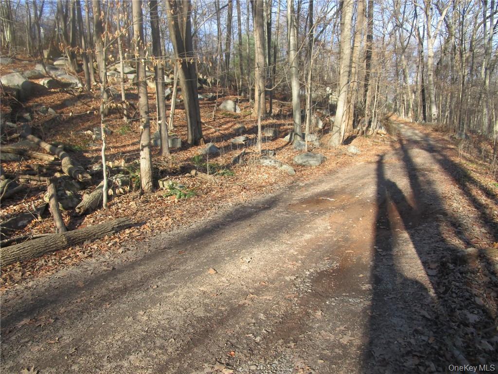 Brookside/Bear Mtn Parkway Avenue, Cortlandt Manor, NY 10567