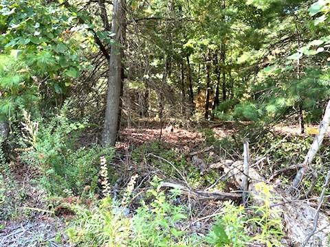 701 Us Route 209, Port Jervis, NY 12729