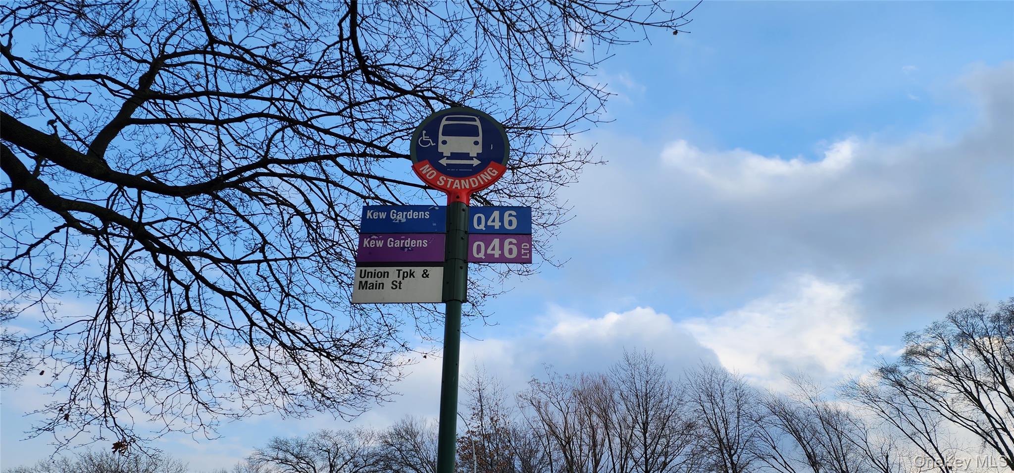 141-39 Union Turnpike # 1-O, Flushing, NY 11367