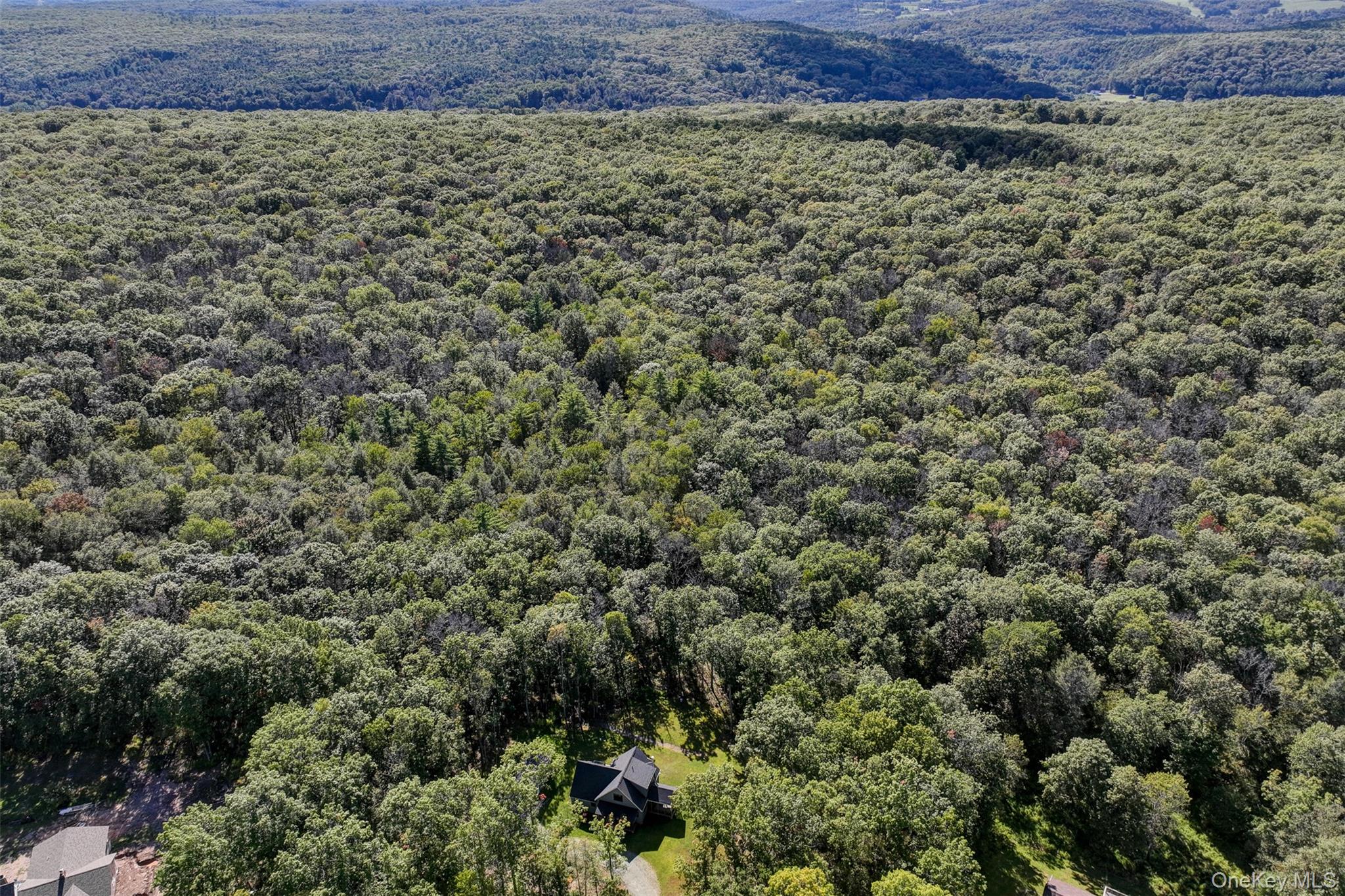 441 Cushetunk Drive, Cochecton, NY 12726