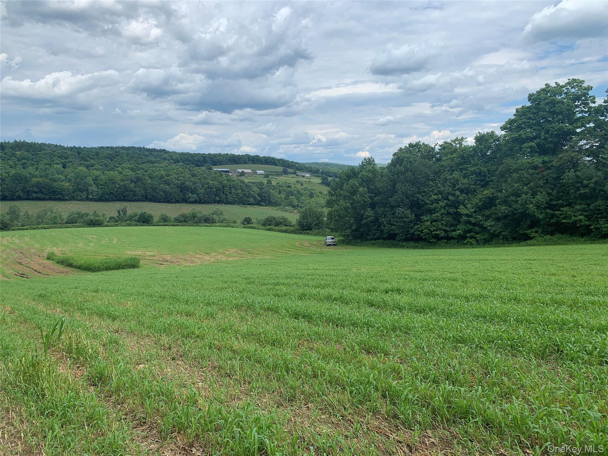 413 Middlefield Rd, Call Listing Agent, NY