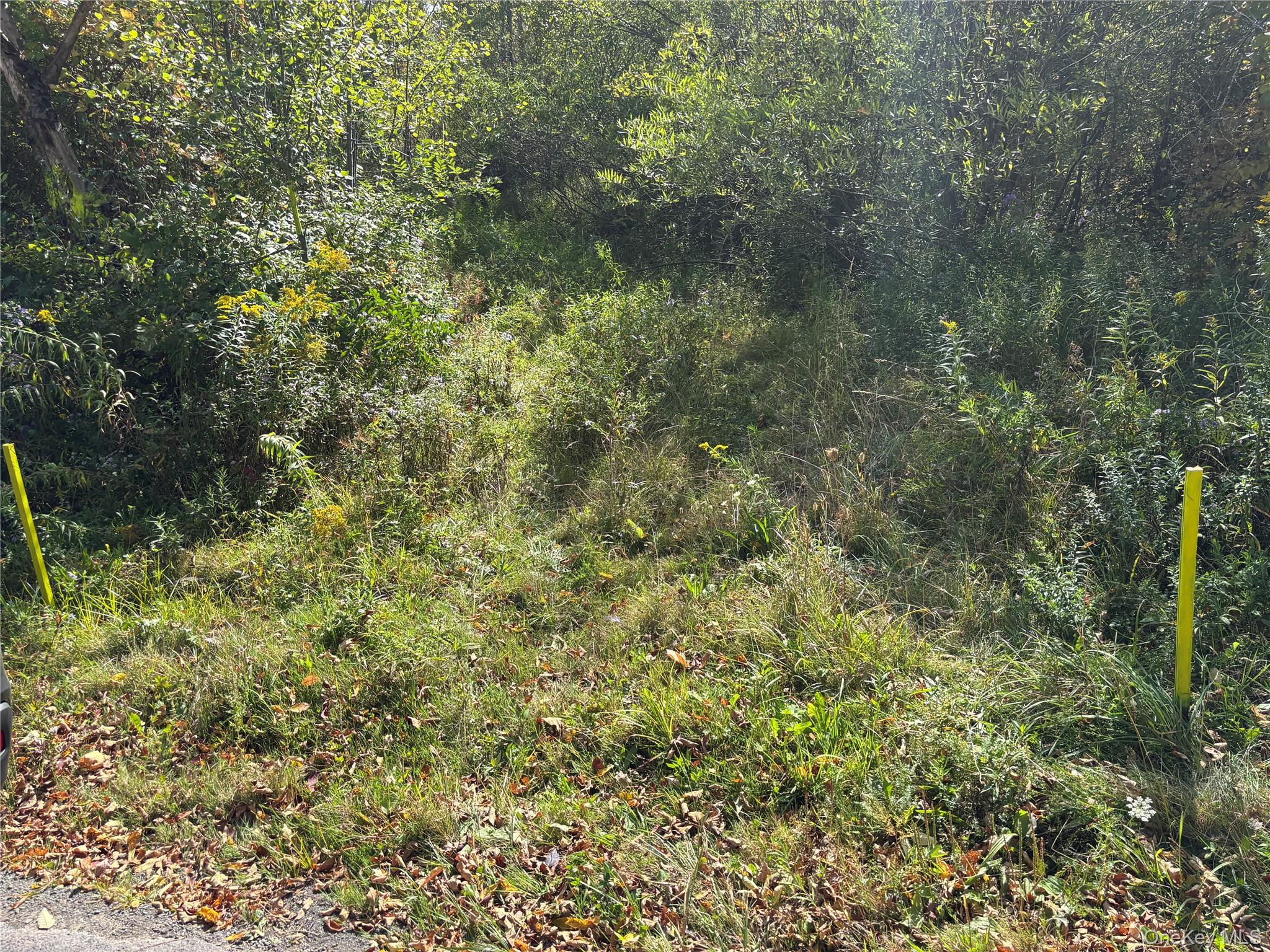 413 Middlefield Rd, Call Listing Agent, NY