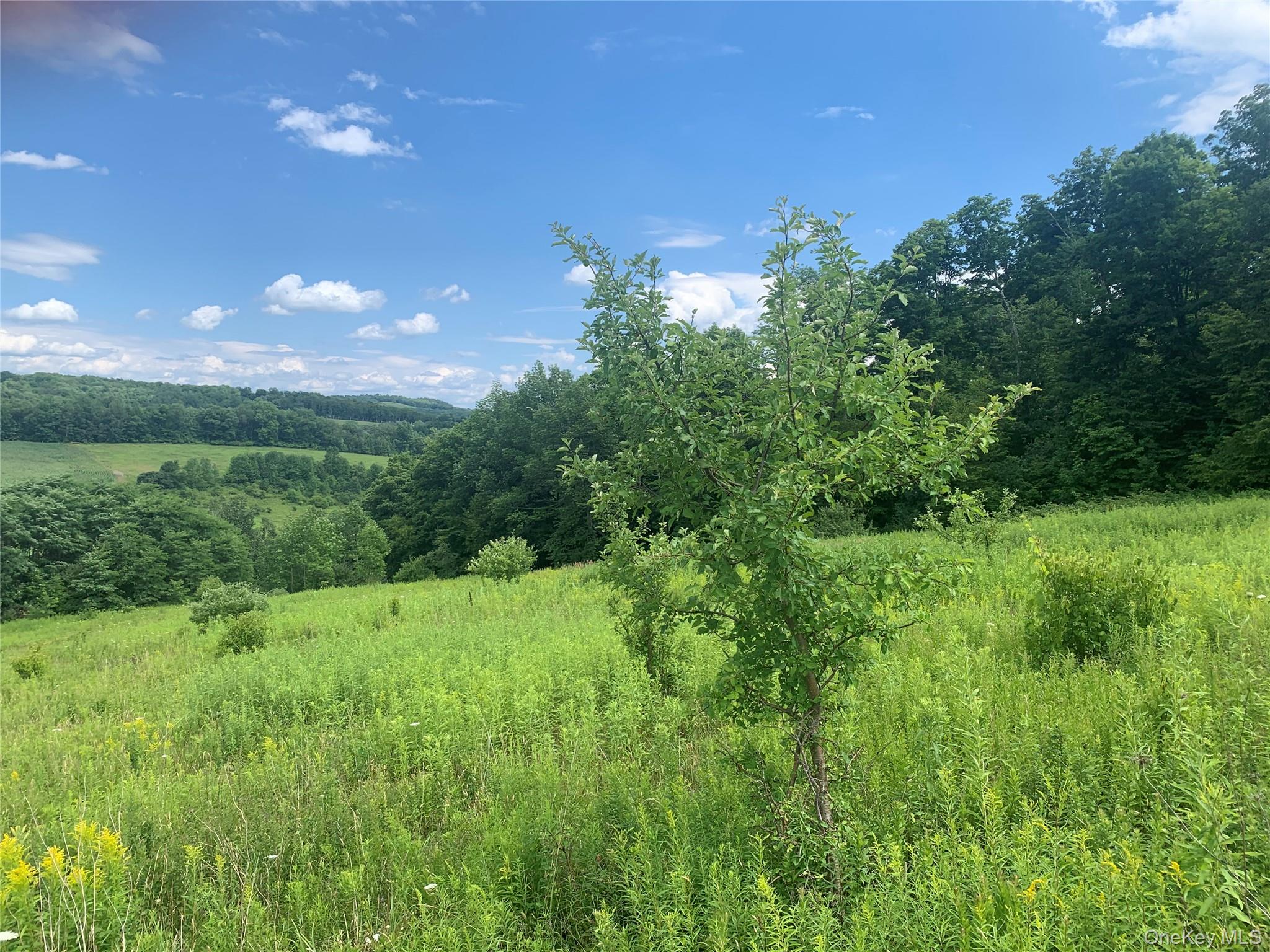 413 Middlefield Rd, Call Listing Agent, NY