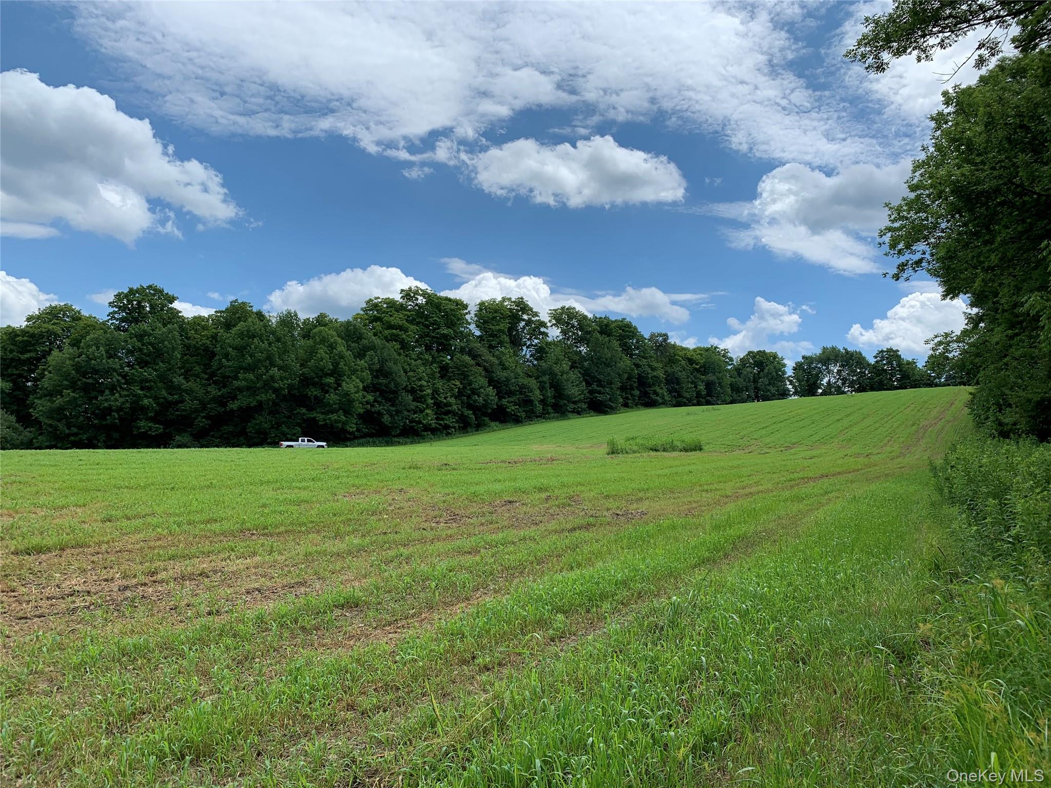 413 Middlefield Rd, Call Listing Agent, NY