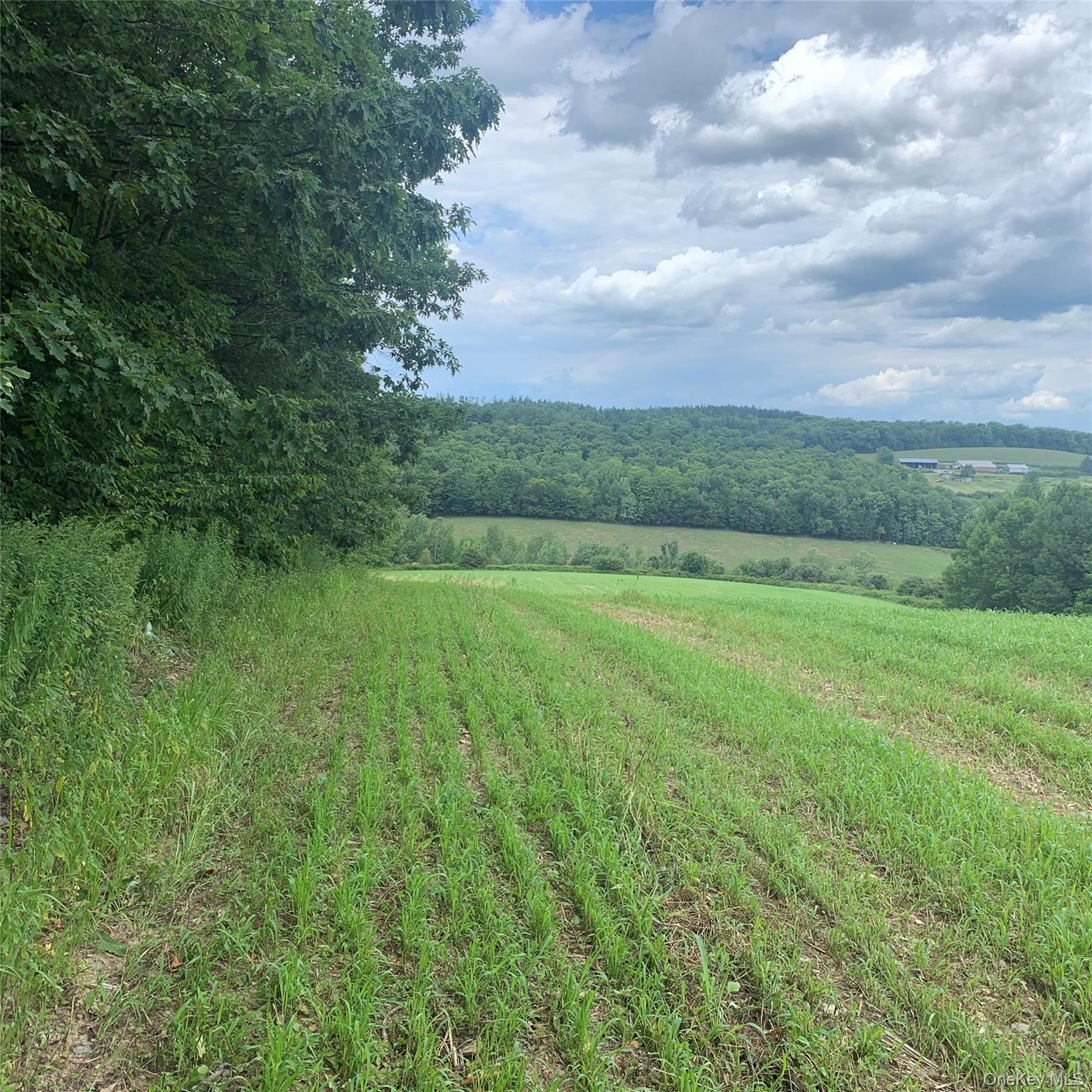 413 Middlefield Rd, Call Listing Agent, NY