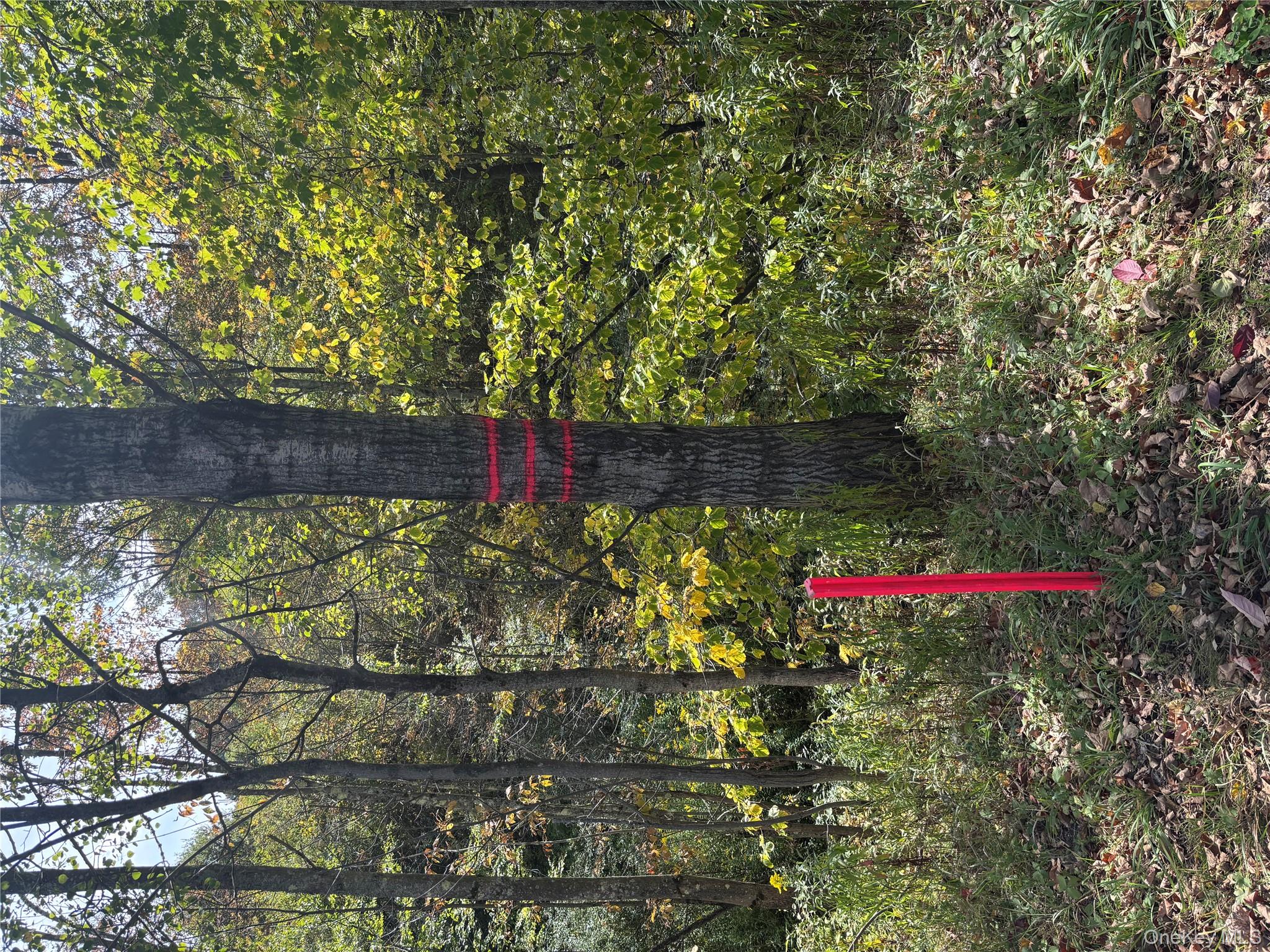 413 Middlefield Rd, Call Listing Agent, NY