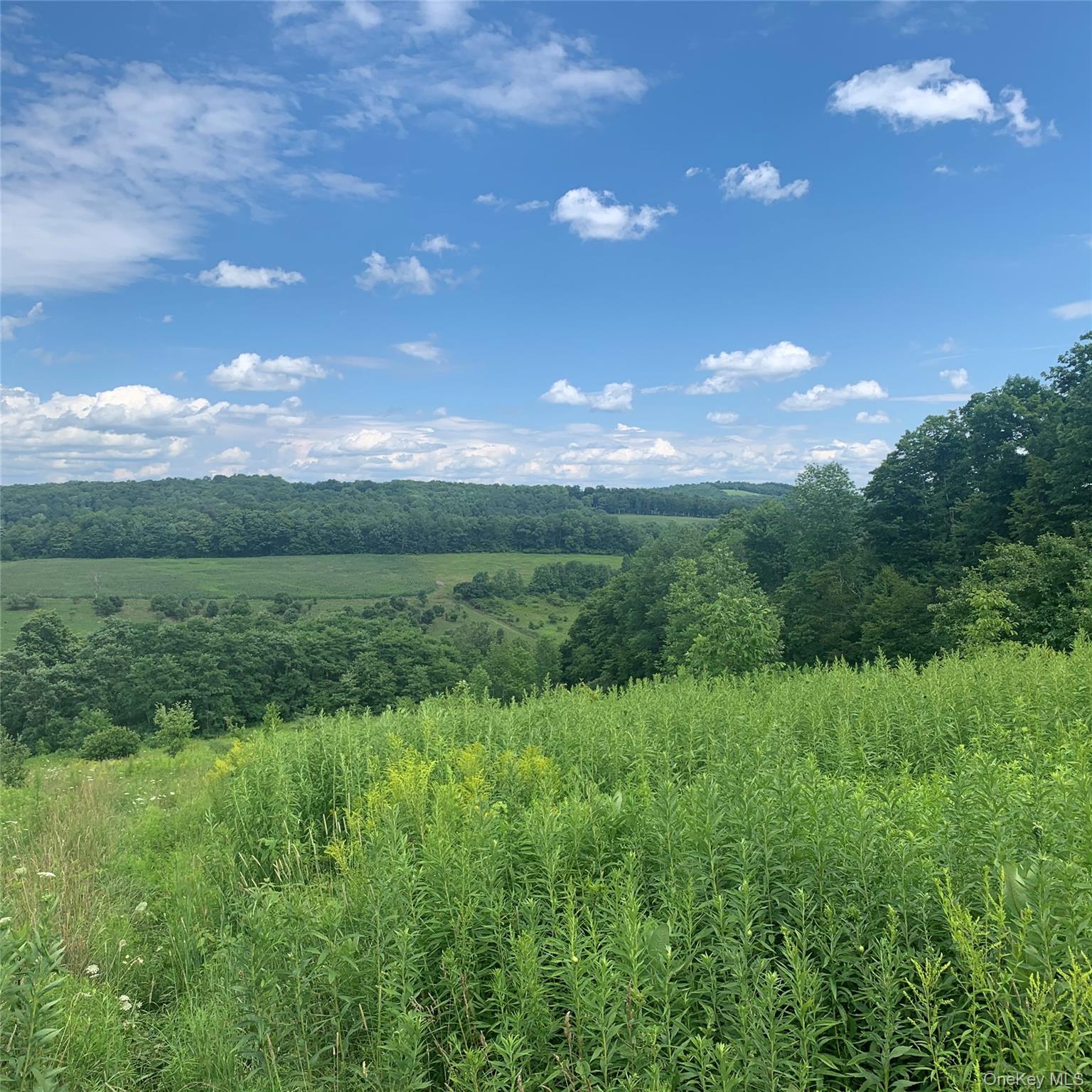 413 Middlefield Rd, Call Listing Agent, NY