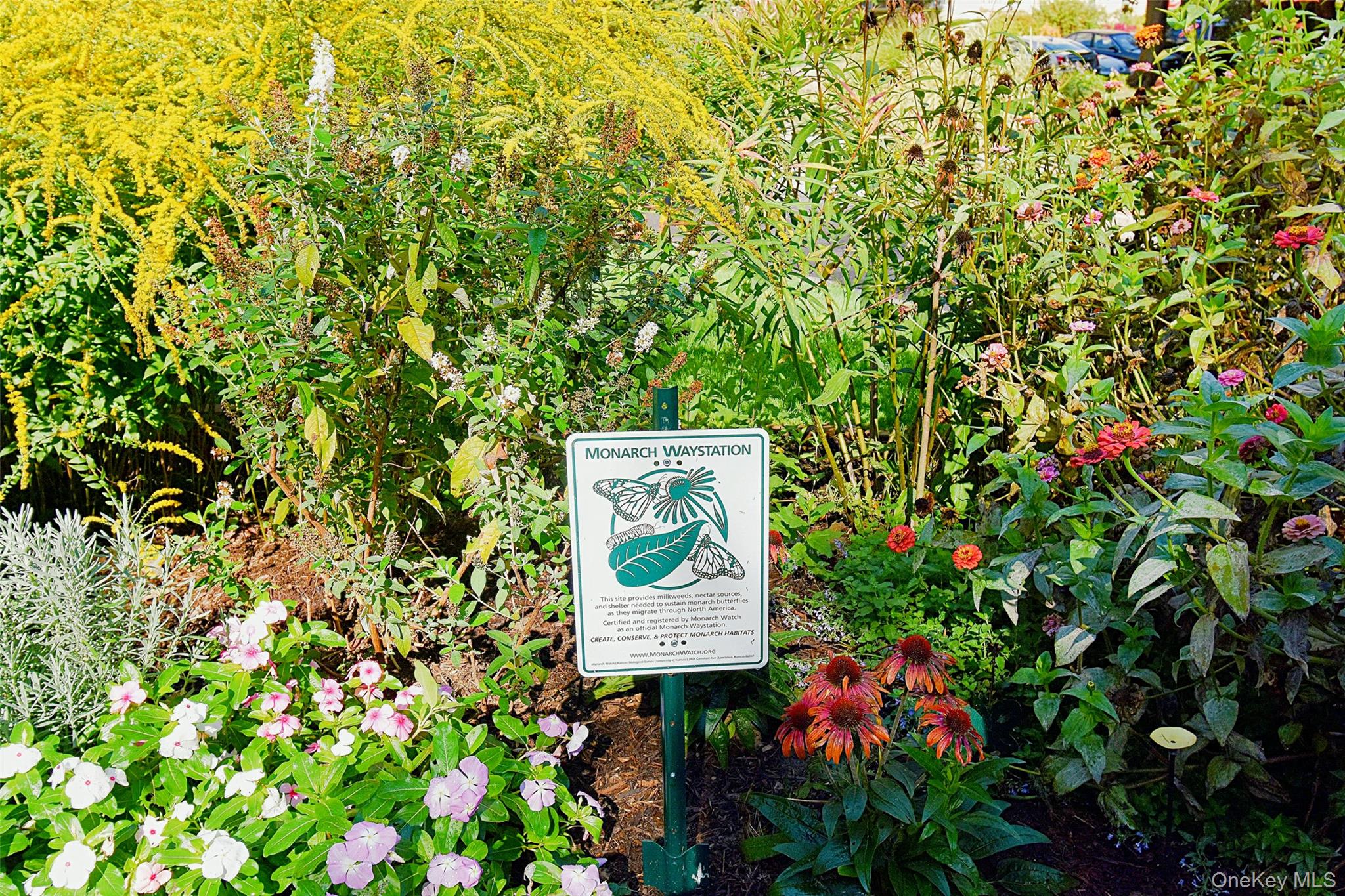 4 Park Lane # 4B, Mount Vernon, NY 10552