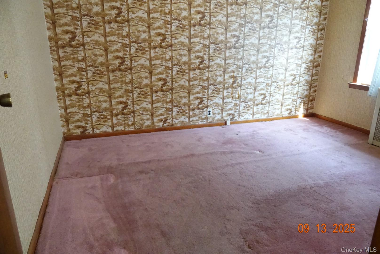 113-07 109th Avenue, South Ozone Park, NY 11420