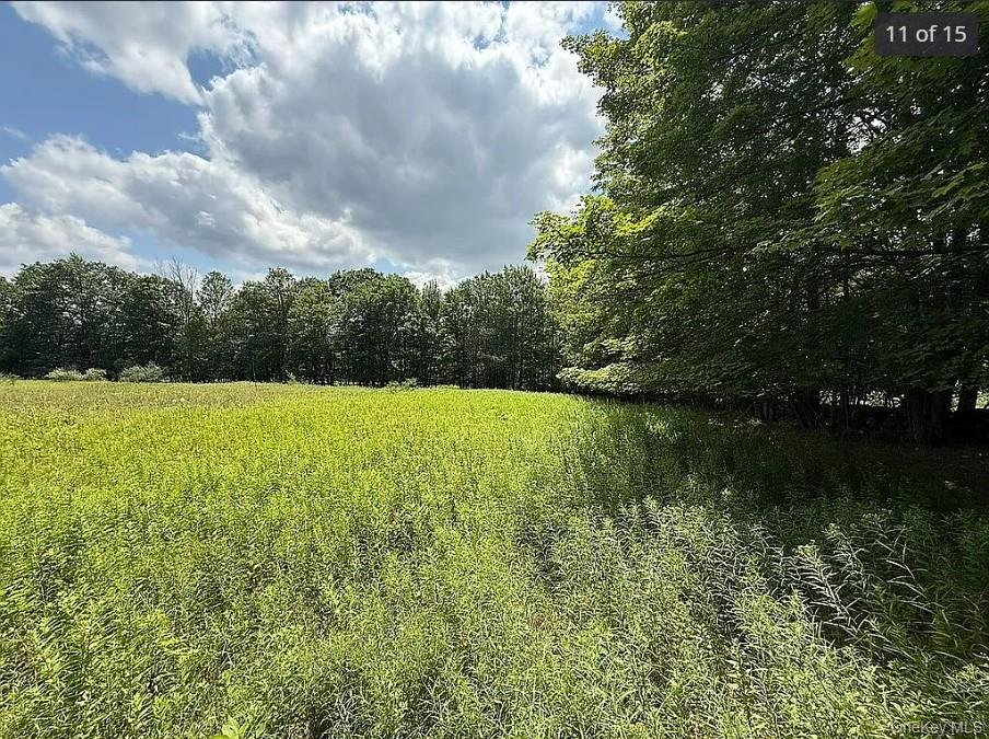 DIMMICK MOUNTAIN Road, Other, NY
