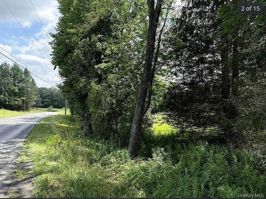 DIMMICK MOUNTAIN Road, Other, NY