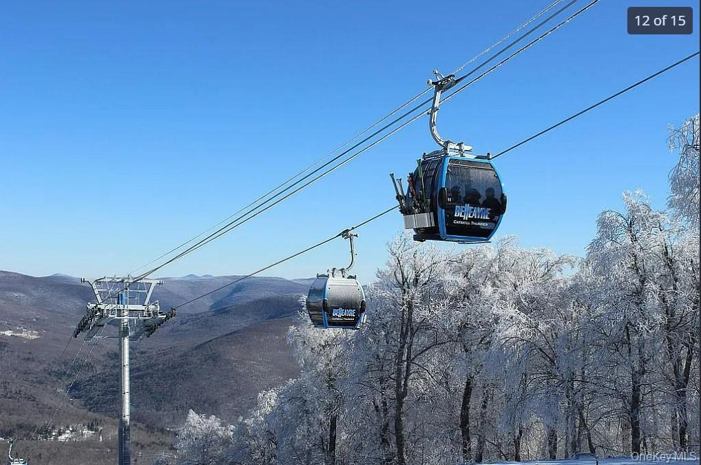 DIMMICK MOUNTAIN Road, Other, NY
