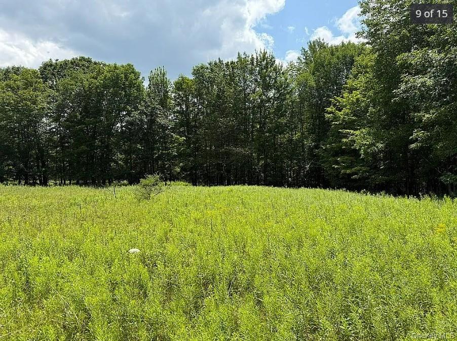 DIMMICK MOUNTAIN Road, Other, NY