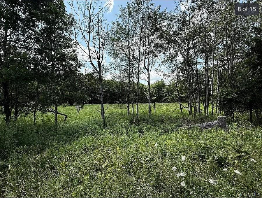 DIMMICK MOUNTAIN Road, Other, NY