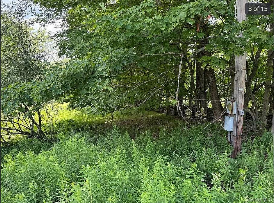 DIMMICK MOUNTAIN Road, Other, NY